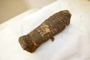 مومياء مصرية