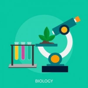 علم الأحياء , علم الأحياء أهمية هذا التخصص والمجالات التي يضمها ويمكن العمل فيها , علم الأحياء , ماهي البيولوجيا , مجالات عمل تخصص علم الأحياء , علم الاحياء , تعريف علم الاحياء , فروع علم الأحياء , علم البيولوجيا , ماهو علم الاحياء , الاحياء الدقيقة , علماء الاحياء , أهمية علم الأحياء , علم الأحياء biology , بحث عن الاحياء , علم الأحياء البشري , بحث متكامل عن علم الأحياء , عرف علم الاحياء , بحث عن علم الأحياء pdf , فوائد دراسة علم الاحياء , بحث عن علم الاحياء , مدخل الى علم الاحياء , احد فروع علم الاحياء , فوائد علم الاحياء , ماذا يعمل علماء الاحياء , ما هو علم البيولوجيا , لماذا ندرس علم الاحياء , معلومات عن الاحياء , اشهر علماء الاحياء , علم دراسة الاحياء , ماذا يدرس علم الاحياء , تخصص علم الاحياء , بحث عن علم الأحياء للصف الأول الثانوى , فروع الاحياء , علم الأحياء البشري pdf , مواضيع عن الاحياء , من يعتبر اب علم الاحياء , موضوع عن الاحياء , ما المقصود بعلم الاحياء , بحث عن علم الأحياء , مختصر معلومات عن علم الاحياء , بحث عن مادة الاحياء , مؤسس علم الاحياء , ما هي الاحياء , اب علم الاحياء , مدخل علم الاحياء , بحث عن الاحياء اول ثانوي , مجالات علم الاحياء , بحث علم الاحياء , مواضيع الاحياء , ادوار علماء الاحياء , اساسيات الاحياء , مدخل الى علم الاحياء اول ثانوي , اساسيات علم الاحياء , مشروع عن الاحياء , تعريف علم البيولوجيا , تاريخ علم الاحياء , خصائص علم الاحياء , من هو عالم الاحياء , مفهوم علم الاحياء , دور علماء الاحياء , علم الأحياء التطوري , دراسة علم الاحياء , انواع علم الاحياء , اهم علماء الاحياء , مستجدات في علم الأحياء , مقدمة عن علم الاحياء , بحث الاحياء اول ثانوي , معلومات عامة عن الاحياء , مقدمة عن الاحياء , وظائف علم الاحياء , بحث عن مدخل الى علم الاحياء , شرح درس مدخل الى علم الاحياء اول ثانوي علم أحياء , موضوع عن علم الاحياء , بعض ادوار علماء الاحياء , بحث مادة الاحياء , ما معنى علم الاحياء , تقرير عن الاحياء , علماء علم الاحياء , اهمية دراسة علم الاحياء , تطور علم الاحياء , من هو اب علم الاحياء , علماء الاحياء واكتشافاتهم , مدخل إلى علم الأحياء , التصنيف في علم الاحياء , ماهي فوائد دراسة علم الاحياء , مكتشف علم الاحياء , اسماء علماء الاحياء , علم الاحياء اول ثانوي , فوائد دراسة علم الأحياء , عالم من علماء الاحياء , مقدمه عن الاحياء , مواضيع في الاحياء , كتاب المبادئ الاساسية في علم الأحياء , بحث عن مادة الاحياء اول ثانوي , بحث لمادة الاحياء , معلومات عن مادة الاحياء , علم الاحياء العام , من هو مؤسس علم الاحياء , بحث مدخل الى علم الاحياء , اكتشافات في علم الاحياء , بحث لمادة الاحياء اول ثانوي , ماهي وظائف تخصص الاحياء , تعريف علم الاحياء اول ثانوي , بحث عن علم الاحياء للصف الاول الثانوى , بحث عن علماء الاحياء , من هم علماء الاحياء , تقرير عن علم الاحياء , مقدمة في علم الاحياء , بحث لمادة الاحياء ثالث ثانوي , علم البيولوجيا بالعربية هو , ما هي البيولوجيا , ما معنى طفل بيولوجي , تعريف البيولوجيا PDF , بيولوجيا الإنسان , مجالات العمل في تخصص البيولوجيا , فلسفة البيولوجيا pdf , معنى بيولوجي وفسيولوجي , علم البيولوجيا PDF , بيولوجيا الإنسان , تعريف البيولوجيا , ما معنى البيولوجيا في الفلسفة , أهمية البيولوجيا , شعبة البيولوجيا , علم البيولوجيا PDF , تخصص البيولوجيا , تعريف البيولوجيا PDF , أقسام علم الأحياء , علم الأحياء في حياتنا اليومية , من هو مؤسس علم الأحياء , علم الأحياء Biology , مواضيع علم الأحياء , علم الأحياء PDF , علم الأحياء الدقيقة , علم الاحياء درب التحدي , الأحياء,علم الأحياء,علم الاحياء,علم الأحياء pdf,مدخل إلى علم الأحياء,علم الأحياء الدقيقة,علم الأحياء biology,مدخل الى علم الأحياء,أحياء,علم الأحياء الدقيقة ppt,علم الأحياء biology pdf,علم,الأحياء الدقيقة,علم الأحياء للصف الثالث متوسط,أحياء ، مقدمة أحياء ، علم الأحياء ، تحصيلي أحياء,احياء,علم الأحياء والأرض للصف السابع,مدخل الى علم الأحياء - اول ثانوي,مدخل الى علم الأحياء - أول ثانوي,أحياء دقيقة,قناة عين شرح مدخل الى علم الأحياء,علم الاحياء الدقيقة , علم بيولوجيا biology , biology,cell biology,gcse, biology,البيولوجيا,high school biology,علم الميكروبيولوجي,-biology,plant biology,cancer biology,school biology,what is biology,البيولوجيا الكمية,molecular biology,how to study biology,biology high school,biology in 9 minutes,البيولوجيا الجزيئية,cell biology lecture,البيولوجيا الحاسوبية,cancer biology course,introduction to biology,plant nutrition biology,cell biology introduction,ecology,zoology , البيولوجيا,بيولوجيا,افاق تخصص البيولوجيا,شعبة البيولوجيا في المغرب,معلومات عن تخصص البيولوجيا,تخصص البيولوجيا بالمغرب,فرص العمل في تخصص البيولوجيا,تخصص البيولوجيا,شعبة البيولوجيا,افضل تخصص في البيولوجيا,معدل القبول في البيولوجيا,افاق شعبة البيولوجيا في الجامعة,بيولوجيا بالدارجة,فروع البيولوجيا,اجازة البيولوجيا,البيولوجيا الكمية,دروس اللبيولوجيا,افاق اجازة في البيولوجيا,افاق شعبة البيولوجيا,البيولوجيا فكليات المغرب,آفاق البيولوجيا في المغرب , ماهي البيولوجيا , الدراسة بشعبة البيولوجي,الساعة البيولوجية,دراسة علمية,دراسة,البيولوجيا الرياضية,الدراسة في ألمانيا,شعبة البيولوجيا في المغرب,بيولوجيا,الدراسة في فرنسا,الساعة البيولوجية لجسم الانسان,ما أهمية الرياضيات؟,ضبط الساعة البيولوجية لجسم الانسان,تعريف الساعة البيولوجية لجسم الانسان,دراسة فعالة,دول أوروبية الدراسة فيها مجاناً,الدراسة,الدراسة في كوريا الجنوبية,الدراسة في روسيا,الدراسة في الصين,الدراسة في السويد,الدراسة في التشيك,الدراسة في الخارج , أهمية دراسة البيولوجيا , علم الاحياء,الأحياء,اقسام علم الاحياء,ما هي اقسام علم الاحياء,علم الحياة,علم الأحياء,علماء الأحياء,علم الأحياء الدقيقة,أحياء ، مقدمة أحياء ، علم الأحياء ، تحصيلي أحياء,biology,فروع علم الاحياء,تطور علم الاحياء,الاحياء,حقائق علم الاحياء,علماء الاحياء,تطورات علم الاحياء,اهم العلماء في علم الاحياء,علم الاحياء الدقيقة,علماء الأحياء شرح الأحياء للمبتدئين,أهمية علم التصنيف,أحياء,شرح دروس الأحياء,شرح الأحياء,-biology,ملخص الأحياء,الأحياء ثانوي , أهم أقسام علم الأحياء biology , الأحياء,علم الاحياء,علم,تاريخ العلماء العرب فى علم الأحياء,تمارين,نشأة علم الأحياء وتاريخ العلماء العرب,علم الأحياء,تاريخ,أحياء,نشأة علم الأحياء,أحياء تشريح,علماء الأحياء,تاريخ علم الوراثة,مدخل إلى علم الأحياء,الاحياء,ماذا يعمل علماء الأحياء,علم الحياة,تطور علم الاحياء,علماء الاحياء,حقائق علم الاحياء,اقسام علم الاحياء,تطورات علم الاحياء,علم الاحياء الدقيقة,shoalakhbar بحث عن علم الأحياء علوم,ما هي اقسام علم الاحياء,العلم , تاريخ علم الأحياء , الأحياء,تاريخ العلماء العرب فى علم الأحياء,نشأة علم الأحياء وتاريخ العلماء العرب,علماء,نشأة علم الأحياء,أحياء,علم الاحياء,علم الاحياء الدقيقة,علم الحياة,العلماء العرب,علماء عرب,العلماء المسلمون,الاحياء,عظماء العرب,افضل 10 علماء عرب,احياء,اسماء الاشارة,افضل 10 علماء مسلمين,الأحداث,العلم,العلمي,العلم والايمان,علم الميكروبات,المرايا,أحوال أهل الدنيا,البرلمان,حي اليهود,الملاريا,على الهواء,أماني الخياط,وزارةالماله,علم,حيان,عالم , أشهر علماء الأحياء , علم الأحياء,مجالات علم الاحياء,علم الأحياء pdf,علماء الأحياء,علم الأحياء الدقيقة ppt,علم الأحياء biology,علم الاحياء,علم الأحياء biology pdf,علم الأحياء للصف الثالث متوسط,علم الاحياء الدقيقة,علم الأحياء والأرض للصف السابع,فروع علم الاحياء,علم الأحياء مع الدكتور أحمد رضوان,اقسام علم الاحياء,علم الأحياء الجزيئية وعلم الوراثة,علم الاحياء تركيب الخلية,فرص العمل لتخصص العلوم الطبيعة والحياة,ايه هي فروع علم الاحياء,فرص العمل في تخصص البيولوجيا,التخصص , مجالات عمل تخصص علم الأحياء , الدراسة عن بعد,التعليم عن بعد,الدراسة عن بعد ؟ كيف ادرس عن طريق الانترنت ؟,دراسة عن بعد,مواقع للدراسة عن بعد,الربح من الانترنت,التعلم عن بعد,العمل على الانترنت,لتعلم عن بعد للمدارس | تعليم عبر الإنترنت بجودة عالية‎ا,طرق الربح من الانترنت,البحث عن عمل في الأنترنت,التدريس عن بعد,الربح من الانترنت 2020,كيفية الربح من الانترنت,افضل برامج التعليم عن بعد,اربح من الانترنت,دكتوراة عن بعد معتمد,الربح من الانترنت للمبتدئين,التكوين عن بعد,بكالريوس عن بعد معترف به , الدراسة عن بعد (عبر الأنترنت) , علم النفس,سلبيات,الأحياء,علم البيئة,ايجابيات,ماهي سلبيات تركيا,سلبيات العيش,سلبيات تركيا,سلبيات العيش بكوريا,ماهي سلبيات العيش في تركيا ؟,علم النفس في السلوك البشري,حيل علم النفس,سلبيات اندونيسيا,حيل في علم النفس,علم النفس السلوكي,علوم الطبيعة و الحياة,علم الفراسة,الكسل أصل الحياة,الحياة في ماليزيا,أخطر 10 ولايات في الولايات المتحدة الأمريكية,حقائق علم النفس,تعليم,علم النفس الاجتماعي,العلم,الحياة,قناة الحياة,حقائق الحياة,علم , إيجابيات وسلبيات علم الأحياء , افضل التخصصات الجامعية,أفضل الجامعات,أفضل جامعات في العالم,الجامعات الفرنسية التي تقبل مستوى b1,أفضل جامعات العالم 2017,علم الأحياء,الجامعات التركية,الجامعة,أفضل جامعات لعام 2016,التخصصات الجامعية,الجامعات الالمانية,الحياة الجامعية,الحياة الجامعية في تركيا,تخصصات الجامعة,افضل الجامعات العربية,الجامعات المغربية,الجامعات في المغرب,الجامعات المعترف بها عالمياً,الجامعات الاسبانية,جامعات,الجامعات الحكومية في تركيا,الجامعات التركية المعترف بها في المغرب , مدخل إلى علم الأحياء,الاحياء علم الحياة,علم الاحياء,الأحياء,فروع علم الاحياء,مادة الاحياء,علم الاحياء الدقيقة,علم الأحياء,علم الاحياء تركيب الخلية,علم الحياة,علم الأحياء pdf,نشأة علم الأحياء,أسئلة علمية متنوعة في علم الأحياء,علم الأحياء الدقيقة,علم الأحياء biology,احياء,علم الأحياء الدقيقة ppt,علم الأحياء biology pdf,الاحياء سر الحياة,الاحياء,ماذا يعمل علماء الأحياء,علم الأحياء للصف الثالث متوسط,علم الأحياء والأرض للصف السابع,علم , أفضل الجامعات التي تدرس علم الأحياء , مدخل إلى علم الأحياء,علم الاحياء,الأحياء,فروع علم الاحياء,علم الأحياء,علم الحياة,أسئلة علمية متنوعة في علم الأحياء,علم الأحياء الدقيقة,احياء,الاحياء,ماذا يعمل علماء الأحياء,مادة الاحياء,الاحياء المجهريه,الأحياء الدقيقة,علماء الأحياء شرح الأحياء للمبتدئين,الاحياء الدقيقة,الاحياء الدقيقه,ثالث الثانوي - علم الأحياء- عاريات البذور,الثالث الثانوي - علم الأحياء- الجهاز العصبي,مسائل احياء,شرح احياء,علم الجراثيم,شرح الأحياء,العلم,احياء دقيقة