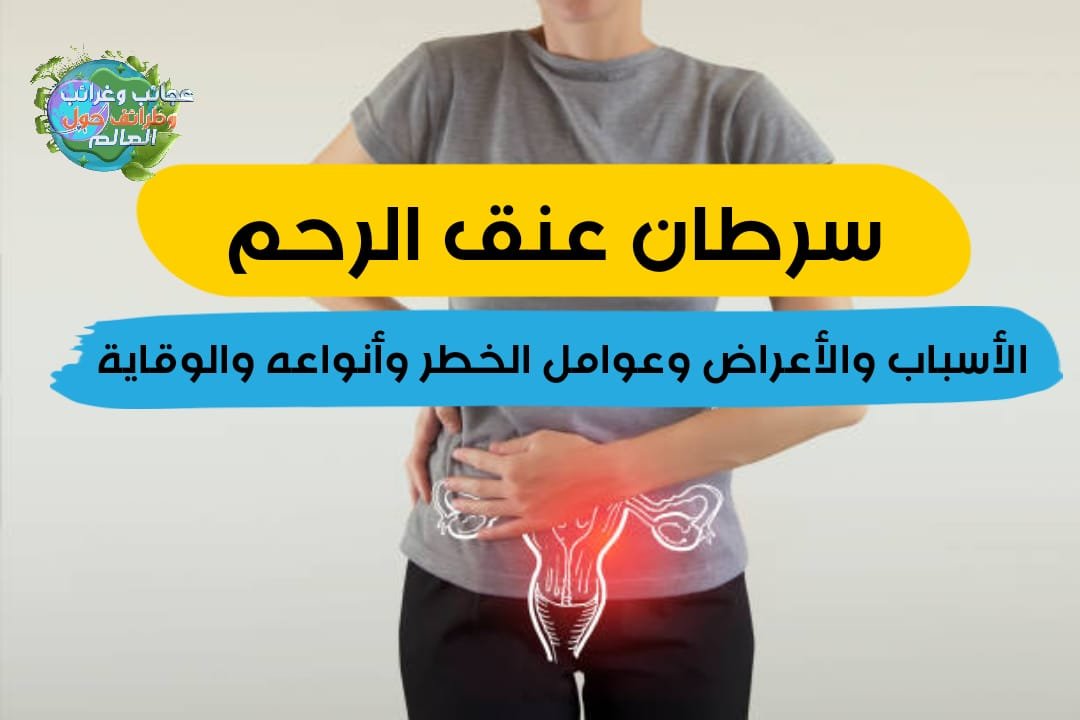 سرطان عنق الرحم (الأسباب والأعراض وعوامل الخطر وأنواعه والوقاية) , الجهاز المناعي,ضعف المناعة,ضعف الجهاز المناعي,تقوية الجهاز المناعي,المناعة,أسباب ضعف الجهاز المناعي,جهاز المناعة,عادات تدمر الجهاز المناعي,علامات ضعف جهاز المناعة,علاج ضعف المناعة,علامات ضعف المناعة,الجهاز المناعى,تقوية جهاز المناعة,أعراض ضعف الجهاز المناعي,علامات ضعف الجهاز المناعى,تقوية المناعة,المناعي,زيادة المناعة,اعراض ضعف المناعة في جسم الانسان,اية اعراض ضعف بجهاز المناعه,امراض الجهاز المناعي,لتقوية الجهاز المناعي,ضعف جهاز المناعة , السرطان,سرطان الثدي,علاج السرطان,سرطان الغدة الدرقية,سرطان الثدى,مرض السرطان,سرطان,سرطان الغدة الدرقية الوراثى,علاج السرطان المنصورة,علاج السرطان الجديد,علاج سرطان الغدد اللمفاوية بالطب البديل,سرطان الثدي الحميد,جراحة الغدة الدرقية,سرطان الغدد الليمفاوية,مراحل سرطان الغدد اللمفاوية,علاج سرطان الثدي,اعراض مرض السرطان,اعراض سرطان الغدة الدرقية,أعراض سرطان الثدي,اعراض سرطان الثدي,اسباب سرطان الثدي,انواع سرطان الثدي,هل سرطان الغدد الليمفاوية مميت , سرطان الجلد,سرطان الخلايا الحرشفية في الرئة,سرطان,سرطان الجلد الحرشفي,سرطان الخلايا القاعدية,سرطان الخلايا الحرشفية في الفم,سرطان الخلايا الحرشفية في اللسان,السرطان,سرطان الخلايا الحرشفية لعنق الرحم,سرطان الخلية الحرشفية,سرطان الجلد الحميد,سرطان الدم,سرطان الخلايا العصبية,مرض السرطان,علاج سرطان الخلايا العصبية,علاج سرطان الجلد,اعراض سرطان الخلايا الصبغية,سرطان الجلد الميلانيني,سرطان الجلد بالصور,السرطان الحرشفي,سرطان الجلد القاعدي,صور سرطان الجلد , سرطان الخلايا الحرشفية , السرطان الغدي , أنواع سرطان عنق الرحم , سرطان عنق الرحم , سرطان عنق الرحم (الأسباب والأعراض وعوامل الخطر وأنواعه والوقاية) , أسباب تغير خلايا عنق الرحم، أسباب سرطان الرحم، أعراض أورام الرحم، أعراض سرطان الرحم، أعراض سرطان الرحم الحميد، أعراض سرطان الرحم المبكرة، أعراض سرطان الرحم المتقدم، أعراض سرطان الرحم عند البنات، أعراض سرطان الرحم لغير المتزوجات، أعراض سرطان الرحم للعذراء، أعراض سرطان الرحم والمهبل، أعراض سرطان المهبل المبكر، أعراض سرطان المهبل للبنات، أعراض سرطان المهبل للعذراء، أعراض سرطان المهبل وعنق الرحم، أعراض سرطان بطانة الرحم المبكرة، أعراض سرطان بطانة الرحم بعد سن اليأس، أعراض سرطان عنق الرحم، أعراض سرطان عنق الرحم المبكر، أعراض سرطان عنق الرحم المبكرة، أعراض سرطان عنق الرحم بعد سن اليأس، أعراض سرطان عنق الرحم للعذراء، أورام الرحم، أورام الرحم الخبيثة، إجراء الجراحة لاستئصال الأنسجة للاختبار، اسباب سرطان الرحم، اسباب سرطان المهبل، اسباب سرطان عنق الرحم، استئصال عيِّنة من الأنسجة للاختبار، اعراض الاصابة بسرطان الرحم، اعراض الاصابة بسرطان عنق الرحم، اعراض الاورام في الرحم، اعراض السرطان الرحم، اعراض السرطان في الرحم، اعراض الورم الخبيث في الرحم، اعراض الورم في الرحم، اعراض اورام الرحم، اعراض اورام عنق الرحم، اعراض سرطان الرحم، اعراض سرطان الرحم الحميد، اعراض سرطان الرحم الخبيث، اعراض سرطان الرحم المبكر، اعراض سرطان الرحم المبكرة، اعراض سرطان الرحم او عنق الرحم، اعراض سرطان الرحم للبنات، اعراض سرطان الرحم للعذراء، اعراض سرطان الرحم للمتزوجات، اعراض سرطان المعدة، اعراض سرطان المهبل، اعراض سرطان المهبل الخارجي، اعراض سرطان المهبل والرحم، اعراض سرطان المهبل وعنق الرحم، اعراض سرطان بطانة الرحم، اعراض سرطان رحم، اعراض سرطان عنق الرحم، اعراض سرطان عنق الرحم الحميد، اعراض سرطان عنق الرحم المبكر، اعراض سرطان عنق الرحم المبكرة، اعراض سرطان عنق الرحم بالتفصيل، اعراض سرطان عنق الرحم للبنات، اعراض سرطان عنق الرحم للعذراء، اعراض سرطان عنق الرحم والمهبل، اعراض سرطان عنق المهبل، اعراض سرطان عنق رحم، اعراض كانسر الرحم، اعراض مرض الرحم، اعراض مرض الرحم عند النساء، اعراض مرض سرطان الرحم، اعراض وجود ورم في الرحم، اعراض ورم الرحم، اعراض ورم الرحم الخبيث، اعراض ورم عنق الرحم، الإشعاع المنبعث من آلة خارج الجسم، الايكو يكشف سرطان الرحم، التشخيص بواسطة الموجات الصوتية لتشكيل صورة للرحم، التشخيص بواسطة منظار لفحص بطانة الرحم، الخلايا الحرشفية في عنق الرحم، الخلايا المتحولة في الرحم هل، الرحم، الرعاية الداعمة (التلطيفية)، العلاج الإشعاعي بعد استئصال الرحم، العلاج الإشعاعي للرحم، العلاج الاشعاعي لسرطان الرحم، العلاج الدوائي الموجه، العلاج الكيماوي بعد استئصال الرحم، العلاج الكيميائي للرحم، العلاج المناعي، العلاج بالهرمونات للرحم، الفرق بين الورم الليفي والسرطان في الرحم، الفرق بين قرحة عنق الرحم وسرطان عنق الرحم، الكشف عن سرطان الرحم، الورم الخبيث في الرحم، الوقاية من سرطان عنق الرحم، انتشار سرطان الرحم في الجسم، انواع اورام الرحم، انواع سرطان الرحم، اورام الرحم، اورام المهبل، اورام المهبل واعراضها، اورام عنق الرحم، بطانة الرحم، بطانة الرحم السميكة، بطانة الرحم المهاجرة، تجربتي مع سرطان الرحم، تجربتي مع سرطان عنق الرحم، تجربتي مع سرطان عنق الرحم عالم حواء، تحديد مرحلة سرطان بطانة الرحم، تحليل سرطان الرحم، تشخيص سرطان الرحم، تشخيص سرطان بطانة الرحم، تضخم الرحم، تعافت من سرطان الرحم، جراحات الرحم، حالات شفيت من سرطان عنق الرحم، خلايا الرحم النشطة، خلايا غريبة في عنق الرحم، خلايا غير طبيعية في عنق الرحم، خلايا نشطة في بطانة الرحم، ساركوما الرحم، سبب سرطان الرحم، سبب سرطان عنق الرحم، سرطان، سرطان الدم، سرطان الرئة، سرطان الرحم، سرطان الرحم الحميد، سرطان الرحم الخبيث، سرطان الرحم بالصور، سرطان الرحم للعذراء، سرطان الرحم من الدرجة الثالثة، سرطان الرحم واعراضه، سرطان الرحم والجماع، سرطان القولون، سرطان الكبد، سرطان المعدة، سرطان المهبل، سرطان المهبل للعذراء، سرطان المهبل واعراضه، سرطان المهبل ويكيبيديا، سرطان المهبل يوتيوب، سرطان بطانة الرحم، سرطان بطانة الرحم ( الأسباب وعوامل الخطر، سرطان بطانة الرحم اعراضه، سرطان بطانة الرحم الخبيث، سرطان بطانة الرحم المرحلة الاولى، سرطان بطانة الرحم المرحلة الثانية، سرطان بطانة الرحم المهاجرة، سرطان عنق الرحم، سرطان عنق الرحم pdf، سرطان عنق الرحم اسبابه وعلاجه وطرق الوقاية منه، سرطان عنق الرحم اعراضه، سرطان عنق الرحم للبنات، سرطان عنق الرحم هل يصيب الفتيات سرطان الرحم وعلاجه، سرطان عنق الرحم والحمل، سرطان عنق الرحم وعلاجه، سرطان عنق رحم، سرطان في الرحم، سرطانات الرحم، سماكة بطانة الرحم، سمك بطانة الرحم، شكل سرطان الرحم، شكل سرطان المهبل، شكل سرطان عنق الرحم، علاج الورم الخبيث في الرحم، علاج بطانة الرحم المهاجرة، علاج سرطان الرحم، علاج سرطان المهبل، علاج سرطان بطانة الرحم، علاج سرطان عنق الرحم، علاج سماكة بطانة الرحم، علامات سرطان الرحم، علامات سرطان الرحم المبكرة، علامات سرطان المهبل، علامات سرطان عنق الرحم، علامات ورم الرحم، عندي تغير في خلايا عنق الرحم، عنق الرحم، عوارض سرطان الرحم، عوارض سرطان عنق الرحم، فحص الحوض، فحص سرطان عنق الرحم، كانسر الرحم، كتلة في عنق الرحم، كم يعيش مريض سرطان عنق الرحم، كيف اعرف اني مصابة بسرطان الرحم، كيف اكتشفتي سرطان الرحم عالم حواء، كيف اكتشفتي سرطان عنق الرحم عالم حواء، كيف يتم الكشف عن سرطان عنق الرحم، ما اعراض سرطان الرحم، ما اعراض سرطان عنق الرحم، ما اعراض ورم الرحم، ما هو سرطان الرحم، ما هو سرطان عنق الرحم، ما هو علاج سرطان الرحم، ما هو علاج سرطان عنق الرحم، ما هي أعراض سرطان عنق الرحم، ما هي الخلايا الحرشفية في عنق الرحم، ما هي علامات سرطان الرحم، ما هي عوارض سرطان الرحم، ماهي اسباب سرطان الرحم، ماهي اعراض سرطان الرحم، ماهي اعراض سرطان المهبل، ماهي اعراض سرطان بطانة الرحم، ماهي اعراض سرطان عنق الرحم، مدة تطور سرطان عنق الرحم، مراحل سرطان الرحم، مراحل سرطان عنق الرحم، مرحلة ما قبل سرطان عنق الرحم، مرض سرطان الرحم، معلومات عن سرطان الرحم، من جاها سرطان الرحم، موضوع هل سرطان الرحم ينتشر، نسبة الشفاء من سرطان الرحم، نسبة الشفاء من سرطان بطانة الرحم، نسبة الشفاء من سرطان عنق الرحم، هل السونار يكشف سرطان عنق الرحم، هل سرطان الرحم خطير، هل سرطان الرحم معدي، هل سرطان الرحم مميت، هل سرطان الرحم وراثي، هل سرطان الرحم يسبب الوفاة، هل سرطان الرحم يمنع الحمل، هل سرطان الرحم ينتشر، هل سرطان المهبل مميت، هل سرطان بطانة الرحم ينتشر، هل سرطان عنق الرحم مميت، هل سرطان عنق الرحم يمنع الحمل، هل لحمية الرحم تسبب سرطان، هل ورم الرحم خطير، هل يشفى سرطان الرحم، هل يشفي سرطان الرحم، هل يعود سرطان الرحم بعد الاستئصال، هل ينتقل سرطان عنق الرحم للزوج، والأعراض وكيفية الوقاية منة )، ورم الرحم الخبيث، ورم الرحم واعراضه، ورم بطانة الرحم، ورم خبيث في الرحم، ورم على الرحم، ورم عنق الرحم الحميد، ورم في عنق الرحم، يُوجَّه الإشعاع إلى داخل جسمك , سرطان عنق الرحم,سرطان الرحم,اعراض سرطان عنق الرحم,اسباب سرطان الرحم,ماهي اعراض سرطان الرحم,علاج سرطان الرحم,اعراض سرطان الرحم,ماهي اعراض سرطان عنق الرحم,سرطان الرئة,عنق الرحم,اعراض سرطان عنق الرحم المبكرة,سرطان,اعراض سرطان عنق الرحم بالتفصيل,علاج سرطان عنق الرحم,اسباب سرطان عنق الرحم,اعراض سرطان الرحم المبكرة,أعراض سرطان الرحم,اعراض سرطان المعدة,سرطان الدم,سرطان الكبد,سرطان المعدة,الرحم,سرطان القولون,اورام الرحم,أسباب سرطان الرحم , سرطان عنق الرحم,عنق الرحم,سرطان الرحم,اعراض سرطان عنق الرحم,علاج سرطان عنق الرحم,اسباب سرطان عنق الرحم,ماهي اعراض سرطان عنق الرحم,سرطان,اعراض سرطان عنق الرحم المبكرة,اعراض سرطان عنق الرحم بالتفصيل,علاج سرطان الرحم,اعراض سرطان الرحم,اسباب سرطان الرحم,ماهو سرطان عنق الرحم,سرطان عنق الرحم علاج,سرطان الرحم الخبيث,سرطان الرحم بالصور,سرطان سرطان عنق الرحم,أعراض سرطان عنق الرحم,سرطان عنق الرحم اسبابه,سرطان عنق الرحم اعراضه,سرطان عنق الرحم وعلاجه