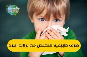 اعراض البرد العادي و 7 طرق طبيعية للتغلب على نزلات البرد , اعراض البرد العادي و العلاج , 7 طرق طبيعية للتغلب على نزلات البرد, ما هي نزلات البرد ؟ , اعراض البرد العادي  و ما هي نزلات البرد ؟ ,  كيف أتخلص من نزلات البرد ؟ , منع انتشار الزكام , ماذا تفعل إذا كان لديك بالفعل نزلة برد , طرق تخفيف اعراض البرد العادي , اشرب السوائل وتناول الأدوية مثل الأسيتامينوفين أو الإيبوبروفين , احصل على قسط وافر من الراحة والنوم وتجنب التوتر , أكل حساء الدجاج لقد ثبت علميا! - علاج و اعراض البرد العادي , أكل حساء الدجاج لقد ثبت علميا! , اعراض البرد العادي , المشروب السحري لعلاج نزلات البرد , علاج نزلات البرد بالأعشاب , علاج نزلات البرد الصدرية , افضل علاج للبرد من الصيدلية , مضاد حيوي للبرد والكحة , علاج نزلات البرد في الصيف , التخلص من البرد في يوم , لعلاج البرد بسرعة , علاج نزلات البرد في الصيف , علاج نزلات البرد الصدرية , علاج نزلات البرد بالأعشاب , المشروب السحري لعلاج نزلات البرد , التخلص من البرد في يوم , علاج نزلات البرد للبالغين , علاج نزلات البرد والكحه , افضل علاج للبرد من الصيدلية , اعراض نزلات البرد في الصيف , اعراض البرد العادي , اعراض نزلة البرد , اعراض نزلات البرد , اعراض البرد والانفلونزا , اعراض انفلونزا البرد , ماهي اعراض نزلات البرد , أعراض البرد العادي , أعراض إنفلونزا البرد , اعراض الاستبراد , افضل علاج للبرد والرشح , دكتور نزلات البرد , افضل علاج لنزلات البرد , علاج برد , دواء نزلات البرد , افضل دواء لنزلات البرد , افضل علاج للبرد , اقوى علاج للبرد , علاج فعال للبرد , علاج نزلات البرد , علاج نزله البرد , ما هو علاج نزلات البرد , أفضل دواء للبرد والرشح للأطفال , المشروب السحري لعلاج نزلات البرد , مضاد حيوى للبرد , علاج للبرد , أفضل دواء للبرد والرشح , علاج نزلات البرد والكحة عند الأطفال , مضاد حيوي للبرد والتهاب الحلق , علاج نزلات البرد في الصيف , دواء للبرد , دواء لعلاج نزلات البرد عند الأطفال , اسرع علاج للبرد , علاج البرد عند الاطفال , علاج البرد عند الرضع , علاج نزلات البرد عند الاطفال , علاج نزلات البرد الصدرية , علاج نزلات البرد للأطفال الرضع , دواء للبرد للاطفال سنتين , علاج نزلات البرد للحامل , علاج الفلاونزه , اعشاب للبرد , افضل دواء للبرد , أقوى دواء للبرد , دواء برد للاطفال , علاج نزلات البرد عند الأطفال بالاعشاب , دواء للبرد للاطفال , علاج نزلات البرد بالأعشاب , علاج لنزلات البرد , اعراض دور البرد , علاج نزلات البرد في المنزل , علاج نزلات البرد للرضع , علاج للبرد للاطفال , علاج نزلات البرد للاطفال , نزلات البرد عند الرضع , احسن علاج للبرد , علاج سريع للبرد , أحسن دواء للبرد والانفلونزا , علاج للبرد والرشح , دواء للبرد للرضع , أسباب نزلات البرد المستمرة , علاج دور البرد , اعراض نزلة البرد الشديدة , مضاد حيوي لنزلات البرد , علاج نزلات البرد عند الرضع , اعراض نزله البرد , اسباب نزلات البرد , افضل مضاد حيوى للبرد , علاج نزلات البرد بالاعشاب , نقط للبرد للرضع , دواء برد , اعراض ضربة البرد , دواء لنزلات البرد , اعراض نزلات البرد عند الاطفال , دواء للبرد سريع المفعول للاطفال الرضع , ادوية نزلات البرد , علاج نزلات البرد والزكام , اقوى مضاد حيوي للبرد , نزلات البرد للحامل , دواء برد للرضع , علاج للبرد الشديد , اسرع علاج لنزلات البرد عند الأطفال , افضل علاج للبرد للاطفال , علاج للبرد للرضع , علاج اعراض البرد , أرخص علاج للبرد , وصفة لنزلات البرد والكحة , علاج نزلات البرد والكحه , اعراض الانفلونزا والبرد , اعراض نزلات البرد الحادة , اعشاب لنزلات البرد , اعراض نزلات البرد عند الكبار , علاج نزلات البرد والانفلونزا , اعشاب للانفلونزا , اقوى علاج لنزلات البرد , علاج البرد والانفلونزا , علاج طبيعي للبرد , اعراض الزكام والبرد , أفضل دواء للبرد والرشح للأطفال الرضع , اعراض نزلات البرد والانفلونزا , علاج برد الجسم , علاج برد الاطفال , علاج سريع للبرد والرشح , علاج نزلات البرد للحامل في الشهور الأولى , ادوية لنزلات البرد , علاج نزلات البرد طبيعيا , علاج سريع لنزلات البرد , اعراض دور البرد العادى , اسباب نزلات البرد المتكررة , وصفه للبرد , علاج قوى للبرد , اعراض برد الصيف , اقوى علاج للبرد والرشح , علاج نزلات البرد الصيفية , نزلة برد , اعراض علاج نزلات البرد الشديدة بالأعشاب , افضل علاج للبرد للحامل , مشروبات لعلاج الانفلونزا , علاج انفلونزا البرد , علاج لنزلات البرد للاطفال , دواء للاطفال للبرد , اعراض دور البرد الشديد , وصفة للبرد والرشح , افضل مضاد حيوى لنزلات البرد , علاج دور البرد الشديد , علاج البرد للأطفال , علاج طبيعي لنزلات البرد , علاج برد للاطفال , أعشاب للبرد والزكام , افضل مضاد حيوي للبرد , نزلات البرد واعراضها , اعراض التعرض للبرد , اسرع علاج للبرد والرشح , افضل دواء لعلاج نزلات البرد , اعراض الاستبراد عند الاطفال , اعشاب لعلاج الانفلونزا , علاج برد الصيف , دور البرد للحامل , سليرنج للبرد , اقوي برشام لنزلات البرد , علاج لنزلات البرد الشديده , افضل دواء برد للاطفال , اسرع علاج لنزلات البرد , مشروبات لعلاج نزلات البرد , علاج نزلات البرد الحادة , ادوية البرد والانفلونزا , وصفات لنزلات البرد , دواء نزلات البرد للاطفال , علاج برد الصيف بالاعشاب , ما هو افضل علاج للبرد , علاج دور البرد للحامل , مشروبات للبرد والاحتقان , احسن دواء للبرد , علاج نزلات البرد الشديدة , مسكن للبرد , علاج برد الاطفال الرضع , اسم علاج للبرد , اعراض نزلة البرد عند الرضع , ادوية نزلات البرد للاطفال , ادوية علاج نزلات البرد , علاج نزلة البرد الشديدة , اعشاب لعلاج نزلات البرد , علاج البرد عند الاطفال الرضع , دواء لنزلات البرد للرضع , افضل علاج لنزلات البرد والكحه , افضل اعشاب للبرد , علامات نزلات البرد , علاج الكحة بعد نزلات البرد , كيفية علاج نزلات البرد , , طرق الوقايه من نزلات البرد والانفلونزا , اقوى دواء للبرد , عوارض نزلات البرد , دواء فعال للبرد , شراب انفلونزا الاطفال , مضاد حيوي قوى للبرد , افضل علاج لنزلات البرد للاطفال , دواء لعلاج نزلات البرد , التخلص من نزلات البرد سريعا , علاج للبرد والكحه , افضل علاج للبرد للرضع , مضاد للبرد , علاج فعال لنزلات البرد , علاج ضربة البرد , التخلص من البرد سريعا , سبب نزلات البرد , علاج البرد عند الكبار , سبب نزلات البرد المتكررة , علاج نزلات البرد للحامل في الشهر التاسع , معالجة نزلات البرد , اسم مضاد حيوى للبرد , علاج نزلات البرد عند الحامل , اعراض نزلات البرد في الراس , افضل دواء للبرد والرشح , علاج برد للرضع , علاج نزلات البرد عند حديثي الولادة , مضاد حيوي للاحتقان والبرد , ما هي اعراض البرد العادي , افضل دواء للبرد للرضع , اسباب الاصابة بنزلات البرد المتكررة , افضل علاج للبرد عند الاطفال , التهاب الحلق,علاج التهاب الحلق,اعراض التهاب الحلق,علاج التهاب الحلق الشديد,علاج التهاب الحلق عند الاطفال,التهاب اللوزتين,التهاب الحنجرة,احتقان الحلق,الحلق,علاج التهاب اللوزتين,علاج التهاب الحلق للحامل,التهاب الحلق عند الاطفال,التهاب البلعوم,التهاب اللوزتين الحاد,علاج التهاب الحلق بالاعشاب,الم الحلق,التهاب اللوز,مدة التهاب الحلق,التهاب الحلق المزمن,ألم والتهاب الحلق,التهاب الحلق المتكرر,علاج لالتهاب الحلق,وجع الحلق,ألم الحلق,انسداد الانف,علاج انسداد الانف,انسداد الأنف,علاج انسداد الأنف,للتخلص من إنسداد الأنف,انسداد الأنف المزمن,انسداد الأنف عند الرضع,انسداد الأنف عند الأطفال,أنسداد الأنف,طريقة طبيعية للتخلص من إنسداد الأنف,انسداد الأنف من جهة اليمين,انسداد الأنف من جهة واحدة,علاج انسداد الانف بالاعشاب,انسداد الأنف عند الاستيقاظ من النوم,انسداد الأنف وضيق التنفس,الوقاية من انسداد الانف,علاج انسداد الانف عند الرضع بالمنزل,طرق طبيعية للتخلص من احتقان الأنف,ميدان,سيتافين بلس والحمل,سيتافين بلس,النشرة الداخلية سيتافين,سوال,بديل سيتافين بلس,دواء سيتافين بلس,سيتافين للاطفال,سيتافين بلس اقراص,سيتافين بلس سيجما,سعودي,ثقافة,كيفية,سيتافين بلس الجرعه,سيتافين بلس للحامل,سيتافين بلس للاسنان,سيتافين بلس للاطفال,سيتافين بلس للرضاعه,حب صداع,صداع الجيوب الأنفية,ارشادات,فيتامين,السعودية,اوتريفين,كيفية استخدام بخاخ الانف,علاج صداع الجيوب الأنفية,فيتامين ب 1,فليكسونيز,افضل علاج للبلغم من الصيدلية,السودافدرين,كلاريتين دواء الحساسية,دواعي استعمال كلاريتين,دواعي استعمال كلارينيز,أدفيل وموترين,كلوريد القزدير,أسباب ضربات القلب السريعة بدون مجهود,كلوريد,الجنين,بروفين فلو الجرعة,بديل الترامادول في الصيدليات,الادوية في الجزائر,الصيدلة في الجزائر,بروفين فلو والرضاعه,دواء بروفين فلو شراب,ادوية الجيوب الانفية,كلاريتين,كوفيد-19,كلارينيز,الفرق بين بروفين كولد وبروفين فلو,علاج ضربات القلب السريعة في المنزل,كلاريتين شراب للاطفال,تهيج العين,حبوب لورين,احتقان,احتقان الأنف,احتقان الانف,علاج احتقان الانف,علاج الاحتقان,علاج احتقان الأنف,تلفاست مزيل الاحتقان,علاج احتقان الانف والحلق,احتقان بالانف والسبب دواء مزيل للاحتقان 🤔,مزيل للاحتقان,علاج احتقان الانف بالاعشاب,اعراض الاحتقان,علاج احتقان الانف المزمن,علاج احتقان,اعراض الاحتقان عند الاطفال,احتقان الحلق,علاج احتقان الزور,علاج احتقان الحلق,اعراض الاحتقان الشديد,كيفية علاج احتقان الانف,ازالة احتقان الانف,ادوية احتقان الانف,علاج احتقان الانف الشديد,مضادات الهيستامين,الهيستامين,مضادات الهستامين,الهستامين,علاج الهيستامين,هيستامين,بديل مضادات الهيستامين,اضرار مضادات الهيستامين,مضادات الهيستامين للحساسية,مضادات الهيستامين في علاج الاكزيما,مضادات الهيستامين لعلاج حساسية الانف,الهيستامين والحكة,اعراض الهيستامين,الهيستامين ما هو,ما هو الهيستامين,دواء الهيستامين,هرمون الهيستامين,تقليل الهيستامين,حساسية الهيستامين,الهيستامين والحكه,الهيستامين والتوتر,الهيستامين في الجسم,عدم تحمل الهيستامين,الصداع,علاج الصداع,الصداع النصفي,الصداع المزمن,الصداع المستمر,مساج للراس لتخفيف الصداع,التخلص من الصداع,علاج الصداع النصفي,سبب الصداع,اعراض الصداع,الصداع الشديد,علاج الصداع في المنزل,علاج الصداع بالتدليك,اسباب الصداع,انواع الصداع,الصداع العصبي,الصداع من الخلف,الصداع التوتري,مساج للصداع النصفي,علاج الصداع الشديد,علاج الصداع المستمر,عمل مساج لعلاج الصداع,مساج للصداع,مساج الراس للصداع,تدليك الرأس لعلاج الصداع,عمل مساج للصداع,التهاب الحلق,علاج التهاب الحلق الشديد,علاج التهاب الحلق,الحلق,علاج الحلق,علاج احتقان الحلق,علاج الم الحلق,احتقان الحلق,اعراض التهاب الحلق,علاج التهاب الحلق بالاعشاب,وجع الحلق,مدة التهاب الحلق,علاج التهاب الحلق للحامل,علاج وجع الحلق,علاج التهاب الحلق عند الاطفال,تهيج الجلد,ألم الحلق,الم الحلق,آلام الحلق,الحلق واللوزتين,تهيج القصبة,التهاب الحلق عند الاطفال,في الحلق,من الحلق,بلغم الحلق,جفاف الحلق,الام الحلق,التهاب اللوزتين الحاد,ايبوبروفين,أيبوبروفين,الايبوبروفين,ايبوبروفين 200,ايبوبروفين والحمل,ايبوبروفين الصداع,ايبوبروفين المغرب,ايبوبروفين للاطفال,ايبوبروفين لبوس,شراب ايبوبروفين,حبوب ايبوبروفين,ايبوبروفين وضغط الدم,ايبوبروفين للاذن,برشام ايبوبروفين,الايبربروفين,ايبوبروفين مسكن الالم,ايبوبروفين مع الرضاعة,ايبوبروفين كورونا,دواء ايبوبروفين و الحمل,ايبوبروفين مع الكورونا,ايبوبروفين وكورونا,ايبوبروفين لكورونا,بروف ايبوبروفين 400,ايبوبروفين معلق للاطفال,الاسيتامينوفين,اسيتامينوفين,▶ تناول الأسيتامينوفين بأمان ‎,جرعة اسيتامينوفين,جرعة استعمال اسيتامينوفين,موانع استعمال اسيتامينوفين,الاثار الجانبية اسيتامينوفين,تحليل أسيت أمينو فن,نوفالدول باراسيتامول,الباراسيتامول,هذه فوائد وأضرار أقراص الباراسيتامول دواء الأسيتامينوفين ( acetaminophen) - (paracetamol),تحليل أسيت أمينو فن acetaminophen test,باراسيتامول,أضرار الباراسيتامول,الباراسيتامول أثناء النزيف,مزايا الباراسيتامول,باراسيتامول للاطفال,البروبيوتيك,بروبيوتيك,البروبايوتيك,البروبيوتيك للقولون,بروبيوتيك للاطفال,بروبيوتيك للرضع,البروبيوتيك ماهو,ما هو البروبيوتيك,مخاطر البروبيوتيك,منافع البروبيوتيك,مصادر البروبيوتيك,لنتعرف على البروبيوتيك والبريبيوتيك,البروبيوتيك كريم علي,البروبيوتيك فكر تاني,البروبيوتيك الطبيعي,البريبيوتيك,د كريم علي البروبيوتيك,د محمد فايد البروبيوتيك,بروبيوتيك للبالغين,ما هو البروبيوتيك وفوائده,البروبيوتيك و البريبايوتك,طريقة استعمال البروبيوتيك,مصادر البربيوتيك , سبيرولينا,كريم علي القولون العصبي,دواء انترفيرون,مشروبات الصباح,فيتامين الثيامين,الثيامين اين يوجد,اليود,الجنزبيل,الزنجبيل,الكلوريلا,لو عايز تخس في رمضان,الاستروجين الانثوي,التهاب الكبد الوبائي,الزنك اين يوجد بالطعام,الاستروجين عند الرجال,العصير الاخضر كريم علي,كريم علي,الخضروات,د كريم علي,فِكر تاني,البقدونس,غير حياتك,تليف الكبد,دهون الكبد,الطب الوقائي,الطب الوظيفى,علاج تليف الكبد,حليب الشوك وفوائده,تنظيف الكبد من الدهون,الكبد,المغنيسيوم,نقص المغنيسيوم,مغنيسيوم,فوائد المغنيسيوم,اعراض نقص المغنيسيوم,علاج نقص المغنيسيوم,أعراض نقص المغنيسيوم,علامات نقص المغنيسيوم,عنصر المغنيسيوم,المغنيسيوم في الجسم,نقص المغنيسيوم في الجسم,مكمل المغنيسيوم,اعراض نقص المغنيسيوم الحاد,أهمية المغنيسيوم,مصادر المغنيسيوم,المغنيسيوم والقلق,مكملات المغنيسيوم,المغنيسيوم للعضلات,المغنيسيوم كريم علي,المغنيسيوم والاعصاب,ماغنسيوم,المغنيسيوم غير الكافي,فوائد المغنيسيوم للجسم,حبوب المغنيسيوم للتنحيف , كولين ستان,الكولين,كولين,كولين رتزر,كولين فاريل,كولين و هاديا,الاستيل كولين,من هي كولين ستان,شرح أستيل كولين,عنصر الكولين,اختفاء كولين رتزر,اختطاف كولين ستان,دور الاستيل كولين,كويلي,أستيل كولين استريز,وظيفة كولين استريز,ما هو الاستيل كولين,شرح درس أستيل كولين,تعريف الأستيل كولين,تركيب الأستيل كولين,تفكيك الأستيل كولين,وظيفة الأستيل كولين,فيتامين أستيل كولين,سبب اختفاء كولين رتزر,قصة اختطاف كولين ستان,استيل كولين ناقل عصبي,كبسولات زنك,الزنك,زنك,نقص الفولات,مكملات الزنك,فوائد الزنك,فوليك,اعراض نقص الزنك,حبوب زنك,دواء زنك,زنك اقراص,أقراص زنك,مصادر الزنك في الاغذية,فوائد حبوب الزنك,فوائد الزنك للشعر,فوائد الزنك للجسم,فوائد الزنك للمرأة,ما هو الزنك,حبوب الزنك,جرعة الزنك,اكلات تزيد,فوليك اسيد,مصادر الزنك وفوائده,فوائد فيتامين الزنك,أقراص زنك zinc,مكمل غذائي زنك,اهميه الزنك,مصادر الزنك في الطعام,ادوية الزنك,اقراص الزنك,اكلات لتنشيط,سعر حبوب الزنك , فيتامين ب,فيتامين ب 12,فيتامين ب المركب,فيتامين ب ١٢,فيتامين ب12,فيتامين,نقص فيتامين ب12,فيتامين b2,فيتامين ب للشعر,مصادر فيتامين ب,فوائد فيتامين ب,فيتامين ب 2,فيتامينات,اين يوجد فيتامين ب,فيتامين ب اين يوجد,أعراض نقص فيتامين ب12,أعراض نقص فيتامين ب ١٢,فيتامين بي 12,اعراض نقص فيتامين بي 12,فوائد فيتامين ب2,مصادر فيتامين ب2,فيتامين ب2 اين يوجد,اين يوجد فيتامين ب2,علاج نقص فيتامين ب 2,اسباب نقص فيتامين ب 2,اين يوجد فيتامين ب في الفواكه, ريبوفلافين,فيتامين ب2 الريبوفلافين,الافوكاتين,فيتامين للاعصاب,فيتامين,الفيتامينات في الافوكادو,مورينجا,فيتامين ب,فيتامينb,الانحراف,فيتامين أ,فيتامين ج,فيتامين د,فيتامين ب ميثيلاتيد,فيتامين ب ١٢ للاعصاب,كريم على فيتامين ب12,فيتامين b2,فيتامين ب٢,فيتامين ب ٢,فيتامينb2,فيتامينات,فيتامين ب١,أسفل الظهر,فيتامين ب 1,فيتامين ب 2,فيتامين هـ,فيتامين سى,فيتامين ب2,الفيتامينات كريم علي,الفيتامينات للاطفال,فيتامين بي٢,أين يتوفر الفيتامين ب2,فيتامين د,نقص فيتامين د,فيتامين دال,مصادر فيتامين د,علاج نقص فيتامين د,اعراض نقص فيتامين د,فيتامين,علامات نقص فيتامين د,ما هو علاج نقص فيتامين د,سحر فيتامين د,جرعات فيتامين د,غنية بفيتامين د,الكالسيوم وفيتامين د,نقص فيتامين دال,فيتامين الشمس,فيتامين دي,فيتامين د 3,فحص فيتامين د,#نقص فيتامين د,ما هو فيتامين د,نسبة فيتامين د,فيتامين د 1000,لنقص فيتامين د,جرعة فيتامين د,ابرة فيتامين د,دواء فيتامين د,نقص فيتامين,فيتامين د 50000 , فيتامين أ,فيتامين أ للشعر,فيتامين a,فيتامين أ للاطفال,فيتامين أ للحامل,فوائد فيتامين أ,فيتامين أ للعين,فيتامين أ للبشرة,اين يوجد فيتامين أ,فيتامين ا,فيتامين e,أعراض نقص فيتامين أ,فيتامين الف,فوائد فيتامين أ للاطفال,اين يوجد فيتامين أ في الطعام,فيتامين ه,نقص فيتامين أ,أهمية فيتامين أ,مصادر فيتامين أ,فيتامينات,فيتامين أ وفوائده,فيتامين أ اين يوجد,اين يوجد فيتامين أ و ب,فيتامين أ وحب الشباب,فيتامين ب,فوائد فيتامين أ للشعر , فيتامين سي,فيتامين c,علاج الرشح,فيتامين سي للرشح,فيتامين,فيتامين c فوار,فيتامين سي فوار,حبوب فيتامين سي,الرشح,علاج الرشح والزكام,فيتامين س,فيتامين c للشعر,فيتامين c للوجه,فيتامين سي للبشرة,فيتامين c للاطفال,فيتامين c كريم,علاج فيتامين c,فيتامين طبيعي,نقص فيتامين سي,دور فيتامين سي,كيفية علاج الرشح,فيتامين c اقراص,فيتامين c طبيعي,زيت فيتامين c للبشرة,فائدة فيتامين س,فيتامينات للشعر,فيتامين centrum,فيتامين choline,أسرار فيتامين سي,الاسيتامينوفين,▶ تناول الأسيتامينوفين بأمان ‎,اسيتامينوفن,نوفالدول باراسيتامول,الباراسيتامول,#الباراسيتامول,باراسيتامول للاطفال,باراسيتامول,مشتقات الباراسيتامول,الباراسيتامول قد يكون قاتلا,أضرار الباراسيتامول,جرعة الباراسيتامول السامة,الباراسيتامول والضغط,#الباراسيتامول_شراب,جرعة الباراسيتامول الزائدة,الباراسيتامول واضراره,الباراسيتامول وكورونا,هل الباراسيتامول يسبب النعاس,أضرار باراسيتامول,دواء باراسيتامول شراب للاطفال,باراسيتامول للحامل , نزلات البرد,علاج نزلات البرد,علاج طبيعى لنزلات البرد,أفضل طرق التخلص من نزلات البرد,طرق الوقاية و العلاج من نزلات البرد و الانفلونزا,علاج نزلات البرد للحامل,وصفات طبيعية للبرد والزكام,علاج نزلات البرد بالاعشاب,نزلات البرد و الانفلونزا,وصفات طبيعيه للبرد,نزلاد البرد,الوقاية و العلاج من نزلات البرد و الانفلونزا,علاج البرد,نزلة البرد عند الاطفال,علاج للبرد,طرق علاج التهاب الحلق في البيت,البرد,البرد عند الاطفال,بطرق طبيعية,نزلة البرد وعلاجها , نزلات البرد,علاج نزلات البرد,علاج البرد,علاج نزلات البرد بالاعشاب,نزلات البرد وعلاجها,كيف نتخلص من نزلات البرد,علاج نزلات البرد للحامل,التخلص من نزلات البرد بسرعة,تخلص من نزلات البرد,البرد,نزلات البرد للحامل,تخلص من نزلات البرد والسعال,نزلات البرد عند الاطفال,نزلات البرد والانفلونزا,نزلة البرد,علاج طبيعى لنزلات البرد,الوقاية من نزلات البرد,علاج البرد والزكام,كيف تعالج نزلات البرد,كيفيه علاج نزلات البرد,ونزلات البرد,بنزلات البرد,لنزلات البرد ,الزكام,علاج الزكام,علاج الزكام بالاعشاب,طرق انتقال الزكام,طريقة علاج الزكام,علاج الزكام للرضع,أعراض الزكام التي يجب استشارة الطبيب فيها,علاج الزكام والحلق,علاج الزكام والرشح,علاج الزكام والكحه,علاج الزكام بالليمون,الزكام والحرارة,اعراض الزكام,علاج الزكام والحراره,التخلص من الزكام,كيف تعالج الزكام,الوقاية من عدوى الزكام,الوقاية من الزكام,فيروس الزكام,الزكام الحاد,تعريف الزكام,لعلاج الزكام,كيف تتخلص من الزكام,ما علاج الزكام,وش علاج الزكام , علاج الرشح,الرشح,علاج الرشح والزكام,علاج الزكام والرشح,علاج الرشح وسيلان الانف,علاج الرشح وانسداد الانف,تخفيف السعال,اسرع طرق لعلاج الزكام والحلق والرشح فى اسرع وقت,علاج الرشح عند الاطفال الرضع,علاج الانفلونزا والرشح,الجسم المثالي,الرشح المتكرر,ما هو الرشح,كيفية علاج الرشح,أفضل وأسرع طريقة للقضاء على الرشح والزكام,الرشح عند الاطفال,الرشح والزكام,علاج للرشح وانسداد الانف,البرد والرشح,والرشح,علاج الرشح عند الاطفال,الم الاذن,الم العظام,لعلاج الرشح , الرشح,علاج الرشح,علاج الرشح والزكام,اعراض الرشح،,أعراض الرشح,علاج الزكام والرشح,اعراض البرد,العراق,اعراض الزكام,مرض الرشح,اعراض فيروس كورونا,اعراض,علاج الرشح عند الاطفال,علاج الرشح وسيلان الانف,الرشحة,علاج الرشح عند الرضع,علاج الرشح وانسداد الانف,أعراض كورونا,اعراض الانفلونزا،,أعراض الزكام,اعراض الزكام الشديد,اسباب واعراض رشح الانف,ما هو الرشح,اعراض نزلة البرد,علاج للرشح وانسداد الانف,اعراض فيروس,لعلاج الرشح,أطعمة الرشح , علاج الزكام,الزكام,علاج الزكام والحلق,علاج الزكام والرشح,علاج الزكام للحامل,علاج الرشح,علاج الزكام بالليمون,ما علاج الزكام,علاج الزكام بسرعة,علاج الزكام للرضع,علاج الزكام بالاعشاب,علاج الرشح والزكام,افضل علاج للزكام,وش علاج الزكام,وصفة علاج الزكام,علاج الكحة,علاج البرد,كيفية علاج الزكام,طريقة علاج الزكام,علاج انسداد الانف,علاج السعال,علاج الزكام طبيعيا,علاج الزكام بالماء,علاج الزكام والحمى,علاج الزكام الشديد,علاج الزكام والكحه , علاج نزلات البرد,نزلات البرد,علاج البرد,علاج نزلات البرد بالاعشاب,علاج الزكام,نزلات البرد وعلاجها,علاج البرد والزكام,علاج طبيعى لنزلات البرد,علاج البرد في الجسم,علاج الرشح,علاج,علاج البرد في البطن,علاج نزلات البرد في البيت,أعراض نزلات البرد,طرق علاج نزلات البرد,نزلات البرد والانفلونزا,كيفيه علاج نزلات البرد,طريقة علاج نزلات البرد,علاج نزلات البرد بسرعه,علاج لنزلات البرد,نزلة البرد,علاج نزلات البرد للحامل,علاج نزلات البرد والكحه , اعراض البرد,البرد العادي,اعراض البرد العادي,الفرق بين اعراض البرد العادي والكورونا,اعراض كورونا,اعراض نزلة البرد,إزاي نميز بين دور البرد العادى و أعراض فيروس كورونا؟,اعراض البرد في الراس,اعراض البرد الشديد,اعراض البرد المكتوم,اعراض البرد الداخلي,اعراض البرد في العضلات,ما الفرق بين البرد العادي والكورونا,البرد,الفرق بين الكورونا والبرد العادي,اعراض البرد في الجسم,أعراض البرد,ايه الفرق بين الكورونا والبرد العادي,الفرق بين دور البرد العادى والكورونا