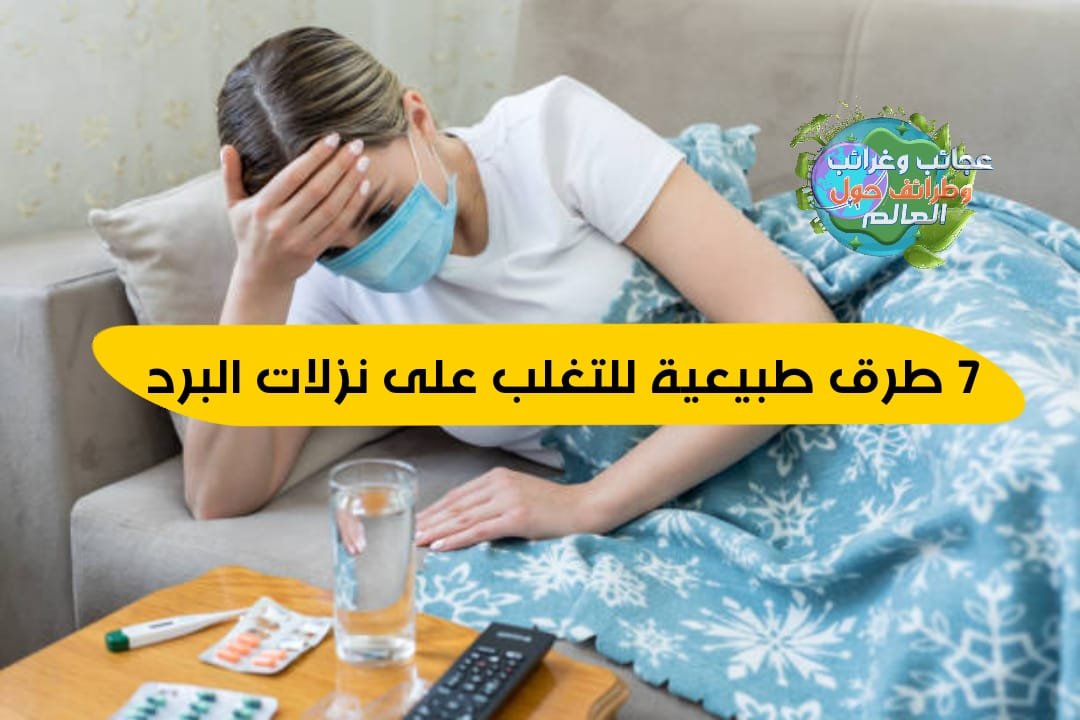 اعراض البرد العادي و 7 طرق طبيعية للتغلب على نزلات البرد , اعراض البرد العادي و العلاج , 7 طرق طبيعية للتغلب على نزلات البرد, ما هي نزلات البرد ؟ , اعراض البرد العادي و ما هي نزلات البرد ؟ , كيف أتخلص من نزلات البرد ؟ , منع انتشار الزكام , ماذا تفعل إذا كان لديك بالفعل نزلة برد , طرق تخفيف اعراض البرد العادي , اشرب السوائل وتناول الأدوية مثل الأسيتامينوفين أو الإيبوبروفين , احصل على قسط وافر من الراحة والنوم وتجنب التوتر , أكل حساء الدجاج لقد ثبت علميا! - علاج و اعراض البرد العادي , أكل حساء الدجاج لقد ثبت علميا! , اعراض البرد العادي , المشروب السحري لعلاج نزلات البرد , علاج نزلات البرد بالأعشاب , علاج نزلات البرد الصدرية , افضل علاج للبرد من الصيدلية , مضاد حيوي للبرد والكحة , علاج نزلات البرد في الصيف , التخلص من البرد في يوم , لعلاج البرد بسرعة , علاج نزلات البرد في الصيف , علاج نزلات البرد الصدرية , علاج نزلات البرد بالأعشاب , المشروب السحري لعلاج نزلات البرد , التخلص من البرد في يوم , علاج نزلات البرد للبالغين , علاج نزلات البرد والكحه , افضل علاج للبرد من الصيدلية , اعراض نزلات البرد في الصيف , اعراض البرد العادي , اعراض نزلة البرد , اعراض نزلات البرد , اعراض البرد والانفلونزا , اعراض انفلونزا البرد , ماهي اعراض نزلات البرد , أعراض البرد العادي , أعراض إنفلونزا البرد , اعراض الاستبراد , افضل علاج للبرد والرشح , دكتور نزلات البرد , افضل علاج لنزلات البرد , علاج برد , دواء نزلات البرد , افضل دواء لنزلات البرد , افضل علاج للبرد , اقوى علاج للبرد , علاج فعال للبرد , علاج نزلات البرد , علاج نزله البرد , ما هو علاج نزلات البرد , أفضل دواء للبرد والرشح للأطفال , المشروب السحري لعلاج نزلات البرد , مضاد حيوى للبرد , علاج للبرد , أفضل دواء للبرد والرشح , علاج نزلات البرد والكحة عند الأطفال , مضاد حيوي للبرد والتهاب الحلق , علاج نزلات البرد في الصيف , دواء للبرد , دواء لعلاج نزلات البرد عند الأطفال , اسرع علاج للبرد , علاج البرد عند الاطفال , علاج البرد عند الرضع , علاج نزلات البرد عند الاطفال , علاج نزلات البرد الصدرية , علاج نزلات البرد للأطفال الرضع , دواء للبرد للاطفال سنتين , علاج نزلات البرد للحامل , علاج الفلاونزه , اعشاب للبرد , افضل دواء للبرد , أقوى دواء للبرد , دواء برد للاطفال , علاج نزلات البرد عند الأطفال بالاعشاب , دواء للبرد للاطفال , علاج نزلات البرد بالأعشاب , علاج لنزلات البرد , اعراض دور البرد , علاج نزلات البرد في المنزل , علاج نزلات البرد للرضع , علاج للبرد للاطفال , علاج نزلات البرد للاطفال , نزلات البرد عند الرضع , احسن علاج للبرد , علاج سريع للبرد , أحسن دواء للبرد والانفلونزا , علاج للبرد والرشح , دواء للبرد للرضع , أسباب نزلات البرد المستمرة , علاج دور البرد , اعراض نزلة البرد الشديدة , مضاد حيوي لنزلات البرد , علاج نزلات البرد عند الرضع , اعراض نزله البرد , اسباب نزلات البرد , افضل مضاد حيوى للبرد , علاج نزلات البرد بالاعشاب , نقط للبرد للرضع , دواء برد , اعراض ضربة البرد , دواء لنزلات البرد , اعراض نزلات البرد عند الاطفال , دواء للبرد سريع المفعول للاطفال الرضع , ادوية نزلات البرد , علاج نزلات البرد والزكام , اقوى مضاد حيوي للبرد , نزلات البرد للحامل , دواء برد للرضع , علاج للبرد الشديد , اسرع علاج لنزلات البرد عند الأطفال , افضل علاج للبرد للاطفال , علاج للبرد للرضع , علاج اعراض البرد , أرخص علاج للبرد , وصفة لنزلات البرد والكحة , علاج نزلات البرد والكحه , اعراض الانفلونزا والبرد , اعراض نزلات البرد الحادة , اعشاب لنزلات البرد , اعراض نزلات البرد عند الكبار , علاج نزلات البرد والانفلونزا , اعشاب للانفلونزا , اقوى علاج لنزلات البرد , علاج البرد والانفلونزا , علاج طبيعي للبرد , اعراض الزكام والبرد , أفضل دواء للبرد والرشح للأطفال الرضع , اعراض نزلات البرد والانفلونزا , علاج برد الجسم , علاج برد الاطفال , علاج سريع للبرد والرشح , علاج نزلات البرد للحامل في الشهور الأولى , ادوية لنزلات البرد , علاج نزلات البرد طبيعيا , علاج سريع لنزلات البرد , اعراض دور البرد العادى , اسباب نزلات البرد المتكررة , وصفه للبرد , علاج قوى للبرد , اعراض برد الصيف , اقوى علاج للبرد والرشح , علاج نزلات البرد الصيفية , نزلة برد , اعراض علاج نزلات البرد الشديدة بالأعشاب , افضل علاج للبرد للحامل , مشروبات لعلاج الانفلونزا , علاج انفلونزا البرد , علاج لنزلات البرد للاطفال , دواء للاطفال للبرد , اعراض دور البرد الشديد , وصفة للبرد والرشح , افضل مضاد حيوى لنزلات البرد , علاج دور البرد الشديد , علاج البرد للأطفال , علاج طبيعي لنزلات البرد , علاج برد للاطفال , أعشاب للبرد والزكام , افضل مضاد حيوي للبرد , نزلات البرد واعراضها , اعراض التعرض للبرد , اسرع علاج للبرد والرشح , افضل دواء لعلاج نزلات البرد , اعراض الاستبراد عند الاطفال , اعشاب لعلاج الانفلونزا , علاج برد الصيف , دور البرد للحامل , سليرنج للبرد , اقوي برشام لنزلات البرد , علاج لنزلات البرد الشديده , افضل دواء برد للاطفال , اسرع علاج لنزلات البرد , مشروبات لعلاج نزلات البرد , علاج نزلات البرد الحادة , ادوية البرد والانفلونزا , وصفات لنزلات البرد , دواء نزلات البرد للاطفال , علاج برد الصيف بالاعشاب , ما هو افضل علاج للبرد , علاج دور البرد للحامل , مشروبات للبرد والاحتقان , احسن دواء للبرد , علاج نزلات البرد الشديدة , مسكن للبرد , علاج برد الاطفال الرضع , اسم علاج للبرد , اعراض نزلة البرد عند الرضع , ادوية نزلات البرد للاطفال , ادوية علاج نزلات البرد , علاج نزلة البرد الشديدة , اعشاب لعلاج نزلات البرد , علاج البرد عند الاطفال الرضع , دواء لنزلات البرد للرضع , افضل علاج لنزلات البرد والكحه , افضل اعشاب للبرد , علامات نزلات البرد , علاج الكحة بعد نزلات البرد , كيفية علاج نزلات البرد , , طرق الوقايه من نزلات البرد والانفلونزا , اقوى دواء للبرد , عوارض نزلات البرد , دواء فعال للبرد , شراب انفلونزا الاطفال , مضاد حيوي قوى للبرد , افضل علاج لنزلات البرد للاطفال , دواء لعلاج نزلات البرد , التخلص من نزلات البرد سريعا , علاج للبرد والكحه , افضل علاج للبرد للرضع , مضاد للبرد , علاج فعال لنزلات البرد , علاج ضربة البرد , التخلص من البرد سريعا , سبب نزلات البرد , علاج البرد عند الكبار , سبب نزلات البرد المتكررة , علاج نزلات البرد للحامل في الشهر التاسع , معالجة نزلات البرد , اسم مضاد حيوى للبرد , علاج نزلات البرد عند الحامل , اعراض نزلات البرد في الراس , افضل دواء للبرد والرشح , علاج برد للرضع , علاج نزلات البرد عند حديثي الولادة , مضاد حيوي للاحتقان والبرد , ما هي اعراض البرد العادي , افضل دواء للبرد للرضع , اسباب الاصابة بنزلات البرد المتكررة , افضل علاج للبرد عند الاطفال , التهاب الحلق,علاج التهاب الحلق,اعراض التهاب الحلق,علاج التهاب الحلق الشديد,علاج التهاب الحلق عند الاطفال,التهاب اللوزتين,التهاب الحنجرة,احتقان الحلق,الحلق,علاج التهاب اللوزتين,علاج التهاب الحلق للحامل,التهاب الحلق عند الاطفال,التهاب البلعوم,التهاب اللوزتين الحاد,علاج التهاب الحلق بالاعشاب,الم الحلق,التهاب اللوز,مدة التهاب الحلق,التهاب الحلق المزمن,ألم والتهاب الحلق,التهاب الحلق المتكرر,علاج لالتهاب الحلق,وجع الحلق,ألم الحلق,انسداد الانف,علاج انسداد الانف,انسداد الأنف,علاج انسداد الأنف,للتخلص من إنسداد الأنف,انسداد الأنف المزمن,انسداد الأنف عند الرضع,انسداد الأنف عند الأطفال,أنسداد الأنف,طريقة طبيعية للتخلص من إنسداد الأنف,انسداد الأنف من جهة اليمين,انسداد الأنف من جهة واحدة,علاج انسداد الانف بالاعشاب,انسداد الأنف عند الاستيقاظ من النوم,انسداد الأنف وضيق التنفس,الوقاية من انسداد الانف,علاج انسداد الانف عند الرضع بالمنزل,طرق طبيعية للتخلص من احتقان الأنف,ميدان,سيتافين بلس والحمل,سيتافين بلس,النشرة الداخلية سيتافين,سوال,بديل سيتافين بلس,دواء سيتافين بلس,سيتافين للاطفال,سيتافين بلس اقراص,سيتافين بلس سيجما,سعودي,ثقافة,كيفية,سيتافين بلس الجرعه,سيتافين بلس للحامل,سيتافين بلس للاسنان,سيتافين بلس للاطفال,سيتافين بلس للرضاعه,حب صداع,صداع الجيوب الأنفية,ارشادات,فيتامين,السعودية,اوتريفين,كيفية استخدام بخاخ الانف,علاج صداع الجيوب الأنفية,فيتامين ب 1,فليكسونيز,افضل علاج للبلغم من الصيدلية,السودافدرين,كلاريتين دواء الحساسية,دواعي استعمال كلاريتين,دواعي استعمال كلارينيز,أدفيل وموترين,كلوريد القزدير,أسباب ضربات القلب السريعة بدون مجهود,كلوريد,الجنين,بروفين فلو الجرعة,بديل الترامادول في الصيدليات,الادوية في الجزائر,الصيدلة في الجزائر,بروفين فلو والرضاعه,دواء بروفين فلو شراب,ادوية الجيوب الانفية,كلاريتين,كوفيد-19,كلارينيز,الفرق بين بروفين كولد وبروفين فلو,علاج ضربات القلب السريعة في المنزل,كلاريتين شراب للاطفال,تهيج العين,حبوب لورين,احتقان,احتقان الأنف,احتقان الانف,علاج احتقان الانف,علاج الاحتقان,علاج احتقان الأنف,تلفاست مزيل الاحتقان,علاج احتقان الانف والحلق,احتقان بالانف والسبب دواء مزيل للاحتقان 🤔,مزيل للاحتقان,علاج احتقان الانف بالاعشاب,اعراض الاحتقان,علاج احتقان الانف المزمن,علاج احتقان,اعراض الاحتقان عند الاطفال,احتقان الحلق,علاج احتقان الزور,علاج احتقان الحلق,اعراض الاحتقان الشديد,كيفية علاج احتقان الانف,ازالة احتقان الانف,ادوية احتقان الانف,علاج احتقان الانف الشديد,مضادات الهيستامين,الهيستامين,مضادات الهستامين,الهستامين,علاج الهيستامين,هيستامين,بديل مضادات الهيستامين,اضرار مضادات الهيستامين,مضادات الهيستامين للحساسية,مضادات الهيستامين في علاج الاكزيما,مضادات الهيستامين لعلاج حساسية الانف,الهيستامين والحكة,اعراض الهيستامين,الهيستامين ما هو,ما هو الهيستامين,دواء الهيستامين,هرمون الهيستامين,تقليل الهيستامين,حساسية الهيستامين,الهيستامين والحكه,الهيستامين والتوتر,الهيستامين في الجسم,عدم تحمل الهيستامين,الصداع,علاج الصداع,الصداع النصفي,الصداع المزمن,الصداع المستمر,مساج للراس لتخفيف الصداع,التخلص من الصداع,علاج الصداع النصفي,سبب الصداع,اعراض الصداع,الصداع الشديد,علاج الصداع في المنزل,علاج الصداع بالتدليك,اسباب الصداع,انواع الصداع,الصداع العصبي,الصداع من الخلف,الصداع التوتري,مساج للصداع النصفي,علاج الصداع الشديد,علاج الصداع المستمر,عمل مساج لعلاج الصداع,مساج للصداع,مساج الراس للصداع,تدليك الرأس لعلاج الصداع,عمل مساج للصداع,التهاب الحلق,علاج التهاب الحلق الشديد,علاج التهاب الحلق,الحلق,علاج الحلق,علاج احتقان الحلق,علاج الم الحلق,احتقان الحلق,اعراض التهاب الحلق,علاج التهاب الحلق بالاعشاب,وجع الحلق,مدة التهاب الحلق,علاج التهاب الحلق للحامل,علاج وجع الحلق,علاج التهاب الحلق عند الاطفال,تهيج الجلد,ألم الحلق,الم الحلق,آلام الحلق,الحلق واللوزتين,تهيج القصبة,التهاب الحلق عند الاطفال,في الحلق,من الحلق,بلغم الحلق,جفاف الحلق,الام الحلق,التهاب اللوزتين الحاد,ايبوبروفين,أيبوبروفين,الايبوبروفين,ايبوبروفين 200,ايبوبروفين والحمل,ايبوبروفين الصداع,ايبوبروفين المغرب,ايبوبروفين للاطفال,ايبوبروفين لبوس,شراب ايبوبروفين,حبوب ايبوبروفين,ايبوبروفين وضغط الدم,ايبوبروفين للاذن,برشام ايبوبروفين,الايبربروفين,ايبوبروفين مسكن الالم,ايبوبروفين مع الرضاعة,ايبوبروفين كورونا,دواء ايبوبروفين و الحمل,ايبوبروفين مع الكورونا,ايبوبروفين وكورونا,ايبوبروفين لكورونا,بروف ايبوبروفين 400,ايبوبروفين معلق للاطفال,الاسيتامينوفين,اسيتامينوفين,▶ تناول الأسيتامينوفين بأمان ,جرعة اسيتامينوفين,جرعة استعمال اسيتامينوفين,موانع استعمال اسيتامينوفين,الاثار الجانبية اسيتامينوفين,تحليل أسيت أمينو فن,نوفالدول باراسيتامول,الباراسيتامول,هذه فوائد وأضرار أقراص الباراسيتامول دواء الأسيتامينوفين ( acetaminophen) - (paracetamol),تحليل أسيت أمينو فن acetaminophen test,باراسيتامول,أضرار الباراسيتامول,الباراسيتامول أثناء النزيف,مزايا الباراسيتامول,باراسيتامول للاطفال,البروبيوتيك,بروبيوتيك,البروبايوتيك,البروبيوتيك للقولون,بروبيوتيك للاطفال,بروبيوتيك للرضع,البروبيوتيك ماهو,ما هو البروبيوتيك,مخاطر البروبيوتيك,منافع البروبيوتيك,مصادر البروبيوتيك,لنتعرف على البروبيوتيك والبريبيوتيك,البروبيوتيك كريم علي,البروبيوتيك فكر تاني,البروبيوتيك الطبيعي,البريبيوتيك,د كريم علي البروبيوتيك,د محمد فايد البروبيوتيك,بروبيوتيك للبالغين,ما هو البروبيوتيك وفوائده,البروبيوتيك و البريبايوتك,طريقة استعمال البروبيوتيك,مصادر البربيوتيك , سبيرولينا,كريم علي القولون العصبي,دواء انترفيرون,مشروبات الصباح,فيتامين الثيامين,الثيامين اين يوجد,اليود,الجنزبيل,الزنجبيل,الكلوريلا,لو عايز تخس في رمضان,الاستروجين الانثوي,التهاب الكبد الوبائي,الزنك اين يوجد بالطعام,الاستروجين عند الرجال,العصير الاخضر كريم علي,كريم علي,الخضروات,د كريم علي,فِكر تاني,البقدونس,غير حياتك,تليف الكبد,دهون الكبد,الطب الوقائي,الطب الوظيفى,علاج تليف الكبد,حليب الشوك وفوائده,تنظيف الكبد من الدهون,الكبد,المغنيسيوم,نقص المغنيسيوم,مغنيسيوم,فوائد المغنيسيوم,اعراض نقص المغنيسيوم,علاج نقص المغنيسيوم,أعراض نقص المغنيسيوم,علامات نقص المغنيسيوم,عنصر المغنيسيوم,المغنيسيوم في الجسم,نقص المغنيسيوم في الجسم,مكمل المغنيسيوم,اعراض نقص المغنيسيوم الحاد,أهمية المغنيسيوم,مصادر المغنيسيوم,المغنيسيوم والقلق,مكملات المغنيسيوم,المغنيسيوم للعضلات,المغنيسيوم كريم علي,المغنيسيوم والاعصاب,ماغنسيوم,المغنيسيوم غير الكافي,فوائد المغنيسيوم للجسم,حبوب المغنيسيوم للتنحيف , كولين ستان,الكولين,كولين,كولين رتزر,كولين فاريل,كولين و هاديا,الاستيل كولين,من هي كولين ستان,شرح أستيل كولين,عنصر الكولين,اختفاء كولين رتزر,اختطاف كولين ستان,دور الاستيل كولين,كويلي,أستيل كولين استريز,وظيفة كولين استريز,ما هو الاستيل كولين,شرح درس أستيل كولين,تعريف الأستيل كولين,تركيب الأستيل كولين,تفكيك الأستيل كولين,وظيفة الأستيل كولين,فيتامين أستيل كولين,سبب اختفاء كولين رتزر,قصة اختطاف كولين ستان,استيل كولين ناقل عصبي,كبسولات زنك,الزنك,زنك,نقص الفولات,مكملات الزنك,فوائد الزنك,فوليك,اعراض نقص الزنك,حبوب زنك,دواء زنك,زنك اقراص,أقراص زنك,مصادر الزنك في الاغذية,فوائد حبوب الزنك,فوائد الزنك للشعر,فوائد الزنك للجسم,فوائد الزنك للمرأة,ما هو الزنك,حبوب الزنك,جرعة الزنك,اكلات تزيد,فوليك اسيد,مصادر الزنك وفوائده,فوائد فيتامين الزنك,أقراص زنك zinc,مكمل غذائي زنك,اهميه الزنك,مصادر الزنك في الطعام,ادوية الزنك,اقراص الزنك,اكلات لتنشيط,سعر حبوب الزنك , فيتامين ب,فيتامين ب 12,فيتامين ب المركب,فيتامين ب ١٢,فيتامين ب12,فيتامين,نقص فيتامين ب12,فيتامين b2,فيتامين ب للشعر,مصادر فيتامين ب,فوائد فيتامين ب,فيتامين ب 2,فيتامينات,اين يوجد فيتامين ب,فيتامين ب اين يوجد,أعراض نقص فيتامين ب12,أعراض نقص فيتامين ب ١٢,فيتامين بي 12,اعراض نقص فيتامين بي 12,فوائد فيتامين ب2,مصادر فيتامين ب2,فيتامين ب2 اين يوجد,اين يوجد فيتامين ب2,علاج نقص فيتامين ب 2,اسباب نقص فيتامين ب 2,اين يوجد فيتامين ب في الفواكه, ريبوفلافين,فيتامين ب2 الريبوفلافين,الافوكاتين,فيتامين للاعصاب,فيتامين,الفيتامينات في الافوكادو,مورينجا,فيتامين ب,فيتامينb,الانحراف,فيتامين أ,فيتامين ج,فيتامين د,فيتامين ب ميثيلاتيد,فيتامين ب ١٢ للاعصاب,كريم على فيتامين ب12,فيتامين b2,فيتامين ب٢,فيتامين ب ٢,فيتامينb2,فيتامينات,فيتامين ب١,أسفل الظهر,فيتامين ب 1,فيتامين ب 2,فيتامين هـ,فيتامين سى,فيتامين ب2,الفيتامينات كريم علي,الفيتامينات للاطفال,فيتامين بي٢,أين يتوفر الفيتامين ب2,فيتامين د,نقص فيتامين د,فيتامين دال,مصادر فيتامين د,علاج نقص فيتامين د,اعراض نقص فيتامين د,فيتامين,علامات نقص فيتامين د,ما هو علاج نقص فيتامين د,سحر فيتامين د,جرعات فيتامين د,غنية بفيتامين د,الكالسيوم وفيتامين د,نقص فيتامين دال,فيتامين الشمس,فيتامين دي,فيتامين د 3,فحص فيتامين د,#نقص فيتامين د,ما هو فيتامين د,نسبة فيتامين د,فيتامين د 1000,لنقص فيتامين د,جرعة فيتامين د,ابرة فيتامين د,دواء فيتامين د,نقص فيتامين,فيتامين د 50000 , فيتامين أ,فيتامين أ للشعر,فيتامين a,فيتامين أ للاطفال,فيتامين أ للحامل,فوائد فيتامين أ,فيتامين أ للعين,فيتامين أ للبشرة,اين يوجد فيتامين أ,فيتامين ا,فيتامين e,أعراض نقص فيتامين أ,فيتامين الف,فوائد فيتامين أ للاطفال,اين يوجد فيتامين أ في الطعام,فيتامين ه,نقص فيتامين أ,أهمية فيتامين أ,مصادر فيتامين أ,فيتامينات,فيتامين أ وفوائده,فيتامين أ اين يوجد,اين يوجد فيتامين أ و ب,فيتامين أ وحب الشباب,فيتامين ب,فوائد فيتامين أ للشعر , فيتامين سي,فيتامين c,علاج الرشح,فيتامين سي للرشح,فيتامين,فيتامين c فوار,فيتامين سي فوار,حبوب فيتامين سي,الرشح,علاج الرشح والزكام,فيتامين س,فيتامين c للشعر,فيتامين c للوجه,فيتامين سي للبشرة,فيتامين c للاطفال,فيتامين c كريم,علاج فيتامين c,فيتامين طبيعي,نقص فيتامين سي,دور فيتامين سي,كيفية علاج الرشح,فيتامين c اقراص,فيتامين c طبيعي,زيت فيتامين c للبشرة,فائدة فيتامين س,فيتامينات للشعر,فيتامين centrum,فيتامين choline,أسرار فيتامين سي,الاسيتامينوفين,▶ تناول الأسيتامينوفين بأمان ,اسيتامينوفن,نوفالدول باراسيتامول,الباراسيتامول,#الباراسيتامول,باراسيتامول للاطفال,باراسيتامول,مشتقات الباراسيتامول,الباراسيتامول قد يكون قاتلا,أضرار الباراسيتامول,جرعة الباراسيتامول السامة,الباراسيتامول والضغط,#الباراسيتامول_شراب,جرعة الباراسيتامول الزائدة,الباراسيتامول واضراره,الباراسيتامول وكورونا,هل الباراسيتامول يسبب النعاس,أضرار باراسيتامول,دواء باراسيتامول شراب للاطفال,باراسيتامول للحامل , نزلات البرد,علاج نزلات البرد,علاج طبيعى لنزلات البرد,أفضل طرق التخلص من نزلات البرد,طرق الوقاية و العلاج من نزلات البرد و الانفلونزا,علاج نزلات البرد للحامل,وصفات طبيعية للبرد والزكام,علاج نزلات البرد بالاعشاب,نزلات البرد و الانفلونزا,وصفات طبيعيه للبرد,نزلاد البرد,الوقاية و العلاج من نزلات البرد و الانفلونزا,علاج البرد,نزلة البرد عند الاطفال,علاج للبرد,طرق علاج التهاب الحلق في البيت,البرد,البرد عند الاطفال,بطرق طبيعية,نزلة البرد وعلاجها , نزلات البرد,علاج نزلات البرد,علاج البرد,علاج نزلات البرد بالاعشاب,نزلات البرد وعلاجها,كيف نتخلص من نزلات البرد,علاج نزلات البرد للحامل,التخلص من نزلات البرد بسرعة,تخلص من نزلات البرد,البرد,نزلات البرد للحامل,تخلص من نزلات البرد والسعال,نزلات البرد عند الاطفال,نزلات البرد والانفلونزا,نزلة البرد,علاج طبيعى لنزلات البرد,الوقاية من نزلات البرد,علاج البرد والزكام,كيف تعالج نزلات البرد,كيفيه علاج نزلات البرد,ونزلات البرد,بنزلات البرد,لنزلات البرد ,الزكام,علاج الزكام,علاج الزكام بالاعشاب,طرق انتقال الزكام,طريقة علاج الزكام,علاج الزكام للرضع,أعراض الزكام التي يجب استشارة الطبيب فيها,علاج الزكام والحلق,علاج الزكام والرشح,علاج الزكام والكحه,علاج الزكام بالليمون,الزكام والحرارة,اعراض الزكام,علاج الزكام والحراره,التخلص من الزكام,كيف تعالج الزكام,الوقاية من عدوى الزكام,الوقاية من الزكام,فيروس الزكام,الزكام الحاد,تعريف الزكام,لعلاج الزكام,كيف تتخلص من الزكام,ما علاج الزكام,وش علاج الزكام , علاج الرشح,الرشح,علاج الرشح والزكام,علاج الزكام والرشح,علاج الرشح وسيلان الانف,علاج الرشح وانسداد الانف,تخفيف السعال,اسرع طرق لعلاج الزكام والحلق والرشح فى اسرع وقت,علاج الرشح عند الاطفال الرضع,علاج الانفلونزا والرشح,الجسم المثالي,الرشح المتكرر,ما هو الرشح,كيفية علاج الرشح,أفضل وأسرع طريقة للقضاء على الرشح والزكام,الرشح عند الاطفال,الرشح والزكام,علاج للرشح وانسداد الانف,البرد والرشح,والرشح,علاج الرشح عند الاطفال,الم الاذن,الم العظام,لعلاج الرشح , الرشح,علاج الرشح,علاج الرشح والزكام,اعراض الرشح،,أعراض الرشح,علاج الزكام والرشح,اعراض البرد,العراق,اعراض الزكام,مرض الرشح,اعراض فيروس كورونا,اعراض,علاج الرشح عند الاطفال,علاج الرشح وسيلان الانف,الرشحة,علاج الرشح عند الرضع,علاج الرشح وانسداد الانف,أعراض كورونا,اعراض الانفلونزا،,أعراض الزكام,اعراض الزكام الشديد,اسباب واعراض رشح الانف,ما هو الرشح,اعراض نزلة البرد,علاج للرشح وانسداد الانف,اعراض فيروس,لعلاج الرشح,أطعمة الرشح , علاج الزكام,الزكام,علاج الزكام والحلق,علاج الزكام والرشح,علاج الزكام للحامل,علاج الرشح,علاج الزكام بالليمون,ما علاج الزكام,علاج الزكام بسرعة,علاج الزكام للرضع,علاج الزكام بالاعشاب,علاج الرشح والزكام,افضل علاج للزكام,وش علاج الزكام,وصفة علاج الزكام,علاج الكحة,علاج البرد,كيفية علاج الزكام,طريقة علاج الزكام,علاج انسداد الانف,علاج السعال,علاج الزكام طبيعيا,علاج الزكام بالماء,علاج الزكام والحمى,علاج الزكام الشديد,علاج الزكام والكحه , علاج نزلات البرد,نزلات البرد,علاج البرد,علاج نزلات البرد بالاعشاب,علاج الزكام,نزلات البرد وعلاجها,علاج البرد والزكام,علاج طبيعى لنزلات البرد,علاج البرد في الجسم,علاج الرشح,علاج,علاج البرد في البطن,علاج نزلات البرد في البيت,أعراض نزلات البرد,طرق علاج نزلات البرد,نزلات البرد والانفلونزا,كيفيه علاج نزلات البرد,طريقة علاج نزلات البرد,علاج نزلات البرد بسرعه,علاج لنزلات البرد,نزلة البرد,علاج نزلات البرد للحامل,علاج نزلات البرد والكحه , اعراض البرد,البرد العادي,اعراض البرد العادي,الفرق بين اعراض البرد العادي والكورونا,اعراض كورونا,اعراض نزلة البرد,إزاي نميز بين دور البرد العادى و أعراض فيروس كورونا؟,اعراض البرد في الراس,اعراض البرد الشديد,اعراض البرد المكتوم,اعراض البرد الداخلي,اعراض البرد في العضلات,ما الفرق بين البرد العادي والكورونا,البرد,الفرق بين الكورونا والبرد العادي,اعراض البرد في الجسم,أعراض البرد,ايه الفرق بين الكورونا والبرد العادي,الفرق بين دور البرد العادى والكورونا
