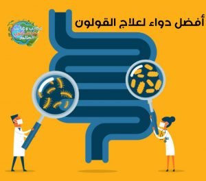 ما هي الآثار الجانبية الرئيسية للهيوسين ؟,ماهو افضل دواء للقولون من صيدلية؟,أفضل دواء لعلاج المعدة , علاج ألم المعدة ورغبة في التقيؤ , أعراض القرحة النفسية , علاج آلام المعدة في المنزل , كيف أتخلص من ألم المعدة , متى تختفي أعراض جرثومة المعدة النفسية , علاج مرض بومزوي بالاعشاب , أعراض انكماش المعدة , أفضل دواء لعلاج المعدة بالأعشاب , اعراض القرحة الهضمية , علاج التهاب المعدة بالأعشاب , كيف اتخلص من غازات البطن , اعراض انتفاخ المعدة , علامات جرثومة المعده , اعراض القرحة في المعدة , علاج قرحة المعدة في المنزل , قرحة المعدة علاج طبيعي , حل سريع للحموضة ,افضل دواء للقولون من الصيدلية افضل دواء لعلاج المعدة , شراب الحموضة جافيسكون , هل كثرة التجشؤ من أعراض السرطان , شراب جافيسكون لجرثومة المعدة , علاج الحرقان جافيسكون للحامل , دواء الحرقان جافيسكون , علاج التهاب القولون بالأعشاب مجرب , احسن دواء للمعدة , أعراض التهاب المعدة والامعاء , حبوب الغازات البطن , شراب المعدة جافيسكون , علاج البكتيريا في البطن , أفضل علاج للقولون العصبي من الصيدلية , اسم دواء مسكن للمعدة , أفضل علاج للقولون من الصيدلية , افضل دواء لعلاج المعدة , ادوية المعده , هيليكوباكتر بيلوري العلاج الطبيعي , الحمدلله شفيت من جرثومة المعدة , أسباب ألم البطن المفاجئ , أعراض التهاب المعدة والقولون , علاج ألم في البطن وإسهال وغازات , شفيت من ارتجاع المرئ , أعراض اضطرابات المعدة والقولون , كيف اخفف الم البطن , روشتة لعلاج جرثومة المعدة , أفضل علاج لارتجاع المريء والتهاب المعدة في الصيدليات , علاج تقلصات البطن الشديدة , علاج طبيعي لوجع البطن , كم تستغرق فترة علاج ارتجاع المرئ , علاج الحموضة في الحلق , دواء غازات البطن , أدوية لعلاج التهاب المعدة والقولون , علاج التهاب المعدة والقولون بالأعشاب , علاج حموضة الحلق , اعراض نقص حمض المعدة , ما سبب الم المعدة بعد الاكل , ما سبب الم راس المعدة , أسباب الحموضة في الحلق , أطعمة تساعد على علاج التهاب المعدة , أعراض قرحة المعدة والقولون , علاج التهاب المعدة الشديد , أدوية علاج التهاب جدار المعدة , التخلص من الحموضة فوراً , علاج التهاب المعدة نهائياً , مشروبات تساعد على علاج التهاب المعدة , حرقان من المعدة إلى الحلق , أسباب ألم المعدة والصدر , علاج نقص حمض المعدة , سبب الم المعدة بعد الاكل , علاج التهاب المعدة المزمن , اسباب الم المعده المفاجئ , اسباب الم المعده من فوق , سبب الم المعده والغثيان , اسباب الم اعلى المعدة , اعراض التهاب المعده والمريء , سبب الم المعده عند الاكل , علاج الحموضة والحرقان في الحلق , علاج التهاب المعدة للحامل , علاج الحرقان للحامل عالم حواء , علاج حرارة المعدة والقولون , اسباب الم المعده القوي , افضل علاج لحموضة المعدة للحامل , علاج المعدة بالعسل , أدوية جرثومة المعدة , اسباب الم فم المعدة , اسباب مغص البطن والاسهال , علاج التهاب راس المعدة , سبب الم المعدة المفاجئ , اسباب زيادة حموضة المعدة , أسباب ألم المعدة المستمر , سبب حرارة المعدة , سبب الم المعده من فوق , اعراض المعدة , اعراض المعده , علاج التهاب فم المعدة , علاج التهاب جدار المعدة , اسباب الم المعدة المستمر , سبب الم راس المعدة , حرقان فم المعدة , ماهو سبب الم المعدة , علاج التهاب المعده في البيت , ما هي اسباب الم المعدة , اعراض زيادة حموضة المعدة , سبب الم اعلى المعدة , افضل علاج للمعده والحموضه , اعراض حرقان المري , اسباب الحرقة في الحلق , التهاب المعدة , علاج مغص البطن واسهال الحموضة في الحلق , علاج لالتهاب المعدة , سبب الم المعدة المستمر , علاج الحموضة الشديدة والارتجاع , سبب الم فم المعدة , ماهو علاج التهاب المعده , علاج حرارة المعدة , كيف اتخلص من الحموضة , اسباب الحموضة الشديدة , اعراض نقص حموضة المعدة , سبب ألم المعدة , اسباب حموضة الحلق , علاج حراره المعده , اعراض قولون المعدة , اسباب حراره المعده , تخفيف الحموضه , أسباب ألم المعده , اعراض ثقب المعدة , افضل علاج للحموضة , زيادة حموضة المعدة , ما هو حمض المعدة , حموضة المعدة اعراضها لتخفيف الحموضة , اسباب الم في راس المعدة , اقوى علاج جرثومة المعدة , اعشاب لعلاج القولون , اسباب التجشؤ والم المعدة , اسباب حرقة البطن , افضل علاج للحموضه , اسباب زيادة حمض المعدة , ماهي اعراض الحموضه , اسباب الم البطن والاسهال , اسباب ارتفاع حموضة المعدة , علاج البطن , افضل علاج طبيعي لجرثومة المعده , افضل علاج للحموضة والحرقان , اقوى علاج للحموضه , علاج جرثومة المعدة مجرب , أعراض المعدة والقولون , علاج الم البطن والاسهال , اعراض المعدة والقولون العصبي , ما اسباب الم المعده , افضل دواء لحرقة المعدة , اسباب الم في المعدة , افضل دواء لالتهاب المعدة , افضل علاج التهاب المعدة , علاج جرثومة المعدة نهائيا بالعسل , علاج الاسهال ووجع البطن , احسن علاج لجرثومة المعدة , ما هو فتق المعدة , علاج جرثومة المعدة بالأعشاب , عملية جرثومة المعده , علاج التهاب المعدة , اسباب الم المعدة , اعراض الحموضة , أفضل دواء للحموضة , علاج الحرقة في الحلق , علاج انتفاخ البطن والقولون , التهاب المعده اعراضه , سبب الم المعده , اسباب الام المعده , افضل علاج لالتهاب المعده , ما سبب الم المعدة , حموضه بالحلق , ماهي الحموضه , اعراض حرقه المعده , الم المعده اسبابه , علاج الاسهال والم البطن , وش علاج الحرقان , اسباب حرارة المعدة , سبب حرقان البطن , حرقة راس المعدة , الام المعده اسبابها , التهاب المعده اسبابه , علاج القولون الهضمي بالاعشاب , علاج الحرقان في الصدر , اسباب الحرقان في المعده , افضل علاج للجرثومه , علاج طبيعي لجرثومة المعدة , علاج لجرثومة المعدة , التخلص من جرثومة المعدة نهائيا , علاج فعال وسريع لجرثومة المعدة , علاج جرثومة المعدة نهائيا , علاج جرثومة المعده نهائيا , دكتور متخصص في علاج جرثومة المعدة , علاج نهائي لجرثومة المعدة , علاج جرثومه المعده , اسباب الام المعدة , اسباب الحموضة المستمرة , سبب الحموضة , حرقان في المعده ماهي , حموضة المعدة , القضاء على جرثومة المعدة , أقوى علاج لجرثومة المعدة , افضل علاج لجرثومه المعده , افضل علاج لجرثومة المعده , دواء جرثومة المعدة , علاج المعدة بالاعشاب , افضل علاج لحموضة المعدة , علاج التهاب المعدة عند الاطفال , افضل علاج حموضة المعدة , حل جرثومة المعده , علاج التهاب المعدة والامعاء , افضل علاج لجرثومة المعدة , ماهي اعراض جرثومة المعدة وعلاجها , حرقان المعده , كيف اتخلص من انتفاخ البطن , افضل علاج جرثومة المعدة , أفضل دواء للحموضة والارتجاع , ما سبب الحموضة , معالجة جرثومة المعدة , أعشاب لعلاج القولون نهائيا , أفضل علاج للقولون من الصيدلية , علاج مرض القولون العصبي في 10 دقائق , مسكن سريع للقولون , أفضل دواء للقولون العصبي 2021 , علاج نهائي للقولون مجرب , علاج التهاب القولون التقرحي بالأعشاب مجرب , علاج القولون العصبي نهائيا بالأعشاب , أفضل دواء للقولون والغازات , أفضل علاج للقولون من الأعشاب , مسكن سريع للقولون , أفضل دواء للقولون العصبي 2021 , أفضل عصير مهدئ للقولون , دواء Vertex لعلاج القولون , علاج القولون العصبي نهائياً بطريقة طبيعية دون أي أدوية , أفضل علاج للقولون من الصيدلية بالمغرب , أفضل علاج للقولون من الصيدلية , أفضل علاج للقولون العصبي مجرب , أفضل علاج للقولون من الصيدلية بالسعودية , أفضل علاج للقولون من الصيدلية في الجزائر , أفضل دواء للقولون والغازات , أفضل علاج للقولون من الصيدلية في تونس , دواء Vertex لعلاج القولون , أفضل دواء للقولون العصبي 2022 , ,علاج الحموضة,الحموضة,حموضة المعدة,علاج الحموضة والحرقان,علاج حموضة المعدة,علاج الحموضة للحامل,حموضة,علاج الحموضة عند الحامل,الحموضة عند الحامل,علاج حموضة المعدة للحامل,علاج الحموضة بالاعشاب,علاج الحموضة بدون ادوية,اعراض الحموضة,اسباب الحموضة,الحموضة في المعدة,اسباب حموضة المعدة,حموضة المعدة وعلاجها,علاج الحموضة في المعدة,علاج الحموضة والغازات,الحموضه,فوار الحموضة,حموضة وحرقة المعدة,اعراض حموضة المعدة,أسباب الحموضة,حموضة الحلق,معالجة الحموضة,علاج الحموضة,علاج حموضة المعدة,علاج الحموضة والحرقان,الحموضة,علاج الحموضة للحامل,علاج حرقة المعدة,علاج الحموضة عند الحامل,علاج الحموضة بالاعشاب,حموضة المعدة,علاج حموضة المعدة للحامل,علاج الحموضة بدون ادوية,علاج,علاج الحموضة والغازات,علاج الحموضة في المعدة,علاج الحموضه عند الحامل,علاج الحموضة للحامل في الشهر الثامن,علاج الحموضة للحامل في الشهر السادس,علاج الحموضة للحامل في الشهر التاسع,حموضة,علاج قرحة المعدة,علاج حموضة المعدة بالاعشاب,العدوى البكتيرية,العدوى,العدوى البكتيرية والفيروسية,البكتيرية,العدوى الفيروسية,الأمراض البكتيرية,عدوى بكتيرية,البكتيريا العقدية,البكتيريا العنقودية,البكتيريا,علاج العدوى الفيروسية,العدوى الانتهازية,البكتيريا المهبلية,أعراض البكتيريا العقدية,بكتيرية,ما هي البكتيريا العنقودية,علاج البكتيريا العنقودية,البكتيريا الانتهازية,خطر البكتيريا,البكتيريا العقدية المقيحة,البكتيريا العقدية في المهبل,العدوى الفيروسية فى الأطفال,البكتيريا العنقودية في الحلق,التسمم الغذائي,علاج التسمم الغذائي,أعراض التسمم الغذائي,اعراض التسمم الغذائي,التسمم,أسباب التسمم الغذائي,اسباب التسمم الغذائي,طرق علاج التسمم الغذائي,طرق الوقاية من التسمم الغذائي,التسمم الغذائي اعراضه وعلاجه,بكتيريا تصيب بالتسمم الغذائي,التسمم الغذائي تعريف وقاية وعلاج,ما هو التسمم الغذائي,بداية التسمم الغذائي,التسمم الغذائي الحاد,التسمم الغذائي علاجه,التسمم الغذائي اعراضه,التسمم الغذائي البسيط,التسمم الغذائي بالصور,كيف يحدث التسمم الغذائي,القيء,علاج القيء,القيء عند الاطفال,القيئ,القيء يفطر,القيء يوميا,اسباب القيء,تفسير القيء,أسباب القيء,القيء في رمضان,القيء بالمنام,القيء والدوخه,الشعور بالقيء,تفسير القيء والاستفراغ في المنام,القيء والاسهال.,المسئول عن القيء,ما هو القيئ,التقيء القولون,الغثيان والقيء,القيء يبطل الصلاة,القيء يخرج البلغم,القيء اثناء الحمل,القيئ البني,رأيت القيء في المنام,أسباب القيء المستمر,القيئ الاصفر,القيئ الدموي,منظومة القيئ,التقيؤ,علاج الشعور بالقيء,الغثيان,علاج الغثيان,اسباب الغثيان,غثيان الحمل,غثيان,علاج الغثيان عند الحامل,الغثيان الصباحي,الشعور بالغثيان,علاج الغثيان والقيء عند الحامل,علاج غثيان الحمل,الغثيان والقيء,الغثيان المستمر,الغثيان في الحمل,الغثيان عند الحامل,علاج الغثيان والقيء,غثيان الصباح,#الغثيان,أسباب الشعور بالغثيان,غثيان مستمر,غثيان الحمل وعلاجه,ما سبب الغثيان,أعراض الغثيان,مشكلة الغثيان,القئ و الغثيان,علاج الغثيان و,كيف اعالج الغثيان,كيف أعالج الغثيان,الإسهال,الاسهال,علاج الاسهال,اسباب الاسهال,علاج الإسهال,اسهال,ما هو الإسهال,الإسهال وعلاجه,الإسهال المزمن,إسهال,الاسهال عند الرضع,الاسهال الحاد,الاسهال عند الاطفال,الاسهال المزمن,علاج الاسهال بالاعشاب,الاسهال المتكرر,الإسهال الابيض,الاسهال عند الكبار,لعلاج الاسهال,اعراض الاسهال,الإسهال عند الرضع,كيف تعالج الإسهال,علاج الإسهال للحامل,علاج الإسهال الشديد,علاج الإسهال طبيعيا,علاج الاسهال المزمن,سبب الاسهال,دواء الاسهال,الاسهال ينحف,الامساك,علاج الامساك,الامساك المزمن,الإمساك,علاج الامساك المزمن,اسباب الامساك,علاج الامساك الشديد,علاج الامساك عند الاطفال,امساك,علاج الامساك بالاعشاب,علاج الإمساك,لعلاج الامساك,الامساك عند الاطفال,الامساك وعلاجه,الامساك عند الرضع,علاج الامساك عند الكبار,علاج الامساك عند الرضع,علاج الامساك عند الاطفال الرضع,التخلص من الامساك,إمساك,التخلص من الإمساك,مشروبات لعلاج الامساك,الامساك الشديد,علاج الإمساك المزمن,الامساك والقولون,امساك شديد,ديكلوفيناك الصوديوم,ديكلوفيناك البوتاسيوم,انواع الديكلوفيناك,الفرق بين ديكلوفيناك الصوديوم وديكلوفيناك البوتاسيوم,مسكينات,فيروس كورونا,نقص الفيتامينات والمعادن,ديكسا,فيروس,علاج فيروس كورونا,حالات كورونا في مصر,كيتولاك ام فولتارين,فيتامين,صحافة فيديو,مسكنات الالم,كيتولاك للدوره,كيتولاك للصداع,الديكساميثازون,بديل حقن كيتولاك,حقنة كيتولاك للبرد,حبوب كيتولاك للحامل,اشهر مركبات الصوديوم,حقن كيتولاك للبواسير,حقنة الديكسا مع المضاد,التهاب القولون,التهاب القولون التقرحي,القولون,إلتهاب القولون التقرحي,القولون التقرحي,التهاب القولون التقرحي هل هو خطير,علاج التهاب القولون التقرحي,اعراض التهاب القولون التقرحي,التقرحي,علاج التهاب القولون التقرحي بالأعشاب,علاج القولون التقرحي,التهاب,القولون العصبي,قولون تقرحي,علاج التهاب القولون,عملية التهاب القولون التقرحي,التهاب القولون التقرحى,علاج إلتهاب القولون التقرحي,التهاب القولون التقدحي,علاج القولون,التهاب القولون التقرحي عند الاطفال,القولون العصبي,متلازمة القولون العصبي,علاج القولون العصبي,متلازمة القولون,القولون,علاج القولون,اعراض القولون العصبي,اعراض القولون,اسباب القولون العصبي,متلازمة القولون العصبى,متلازمة القولون المتهيج,علاج القولون الهضمي,القولون الهضمي,اعراض القولون العصبي النفسي,علاج متلازمة القولون العصبى,اعراض القولون الهضمي,القولون العصبي اعراضه,الدليل الشامل في متلازمة القولون العصبي,قولون,القولون المتهيج,الأعراض وطرق العلاج متلازمة القولون العصبي,التهاب المعدة,التهاب المعدة المزمن,المعدة,التهاب المعدة والقولون,قرحة المعدة,التهاب المعدة الحاد,علاج التهاب المعدة,اعراض التهاب المعدة,التهاب المعدة وعلاجها,التهاب المعدة والامعاء,اعراض قرحة المعدة,علاج التهاب المعده,التهاب بوابة المعدة,جرثومة المعدة,اعراض التهاب بوابة المعدة,حمية التهاب المعدة,التهاب فوهة المعدة,اعراض سرطان المعدة,التهاب فم المعدة,التهاب عنق المعدة,التهاب المعدة اعراضه,ما هو سبب التهاب المعدة,التهاب المعدة فكر تاني,نزيف المعدة,النزيف,المعدة,اعراض النزيف المعوي,النزيف المعوي,علاج النزيف المعوي,ما هو النزيف المعوي,نزيف المعدة،,نزيف معوي,نزيف الجهاز الهضمي,اسباب النزيف المعوي,نزيف,اعراض نزيف المعدة,اسباب نزيف المعدة,علاج النزيف,نزيف المعدة وعلاجها,نزيف المعوي,نزيف المعدة اسبابه وعلاجه,علاج نزيف المعدة بالاعشاب,اسباب نزيف المعدة الداخلي,قرحة المعدة,سرطان المعدة,نتوءات في المعده,مناظير المعدة,أنواع النزيف,أسباب النزيف,النزيف الشرجي,نزيف الدماغ , عدوى بكتيرية,عدوى بكتيرية خطيرة,البكتيرية,العدوى البكتيرية والفيروسية,بكتيرية,العدوى,بكتيريا,الأمراض البكتيرية,الاتهابات البكتيرية,العدوى الفيروسية,عدوى مارسا,علاج العدوى الفيروسية,العدوى الفيروسية فى الأطفال,البكتيريات,البكتريا,عدوي,اعراض التهاب الرحم البكتيري,اسباب التهاب المهبل البكتيري,اعراض التهاب البكتيري للمهبل,تقرير,علاج الالتهاب البكتيري للمهبل,اعراض الالتهاب البكتيري للمهبل,علاج الالتهاب المهبلي البكتيري,فوائد الثوم,الثوم,فوائد الثوم قبل النوم,قطعة من الثوم,فوائد الثوم للشعر,الثوم على الريق,بلع الثوم,فوائد الثوم على الريق,الثوم قبل النوم,الثوم الذكر,فوائد الثوم والليمون,فوائد الثوم للنساء,فوائد الثوم وزيت الزيتون,الثوم على معدة فارغة,فص من الثوم,فوائد الثوم الصحية,فوائد الثوم للجسم,الثوم للشعر,تناول الثوم,اكل الثوم,ما فوائد الثوم,زيت الثوم,فوائد,الزيت والثوم,الثوم للتخسيس,فوائد الثوم الذكر,الثوم النيئ,11 الفوائد الصحية المثبتة للثوم!,التهاب المعدة,اعراض التهاب المعدة,اعراض سرطان المعدة,علاج التهاب المعدة,اعراض قرحة المعدة,ما هي أعراض التهاب جدار المعدة,ما هي اعراض التهاب جدار المعدة,اعراض المعدة,المعدة,أعراض المعدة,اعراض جرثومة المعدة,اسباب التهاب المعدة,ما هي اعراض اورام المعدة,shoalakhbar ما هي أعراض التهاب فم المعدة باطني و قناة هضمية,التهاب المعدة والأمعاء,التهاب المعدة والقولون,اعراض التهاب فم المعدة,shoalakhbar ما هي أعراض التهاب جدار المعدة باطني و قناة هضمية,مضاد للالتهابات,مضاد حيوي للالتهابات,اقوى مضاد للالتهابات,مرهم مضاد للالتهابات,افضل مضاد للالتهابات,أفضل مضاد للالتهابات,مضاد للالتهابات طبيعي,مضاد للالتهابات ومسكن,مضاد حيوي للالتهابات البولية,مسكن ومضاد للالتهابات,مضاد للالتهابات والتورم,مضاد للالتهابات الاسنان,مضاد للالتهابات والروماتيزم,مضادات الالتهابات,كريم بيتاديرم مضاد للالتهابات,مضادة للإلتهابات,مضاد للالتهابات والتورم للاطفال,الالتهابات,مضاد حيوي,أقوى مضاد حيوي طبيعي يشفي كل الالتهابات,العقاقير المضادة للالتهاب غير الستيرويدية,مضادات الالتهاب غير الستيروئيدية,الفرق بين مضادات الالتهاب الستيروئيدية وغير الستيروئيدية,مضادات الالتهاب الستيرويدية,العقاقير المعدلة لمسار المرض الغير بيولوجية,مضادات الا لتهاب الستيرويدية الموجودة في الجزائر,مضادات الإلتهاب الستيرويدية,مضادات الالتهاب الستيروئيدية,مضادات الإلتهاب اللاستيرويدية,الالتهاب اللاستيرويدية,ضادات الإلتهاب الستيرويدية ais | @tabibidz,نصائح عند أخذ مضادات الالتهاب اللاستيرويدية,سيتالوبرام,سيتالوبرام واسيتالوبرام,سيتالوبرام 40,سيتالوبرام ٢٠,سيتالوبرام 10,سيتالوبرام 20,اسيتالوبرام,سيتالوبرام 20 مج,سيتالوبرام 10 مغ,علاج سيتالوبرام,سيتالوبرام اقراص,سيتالوبرام 10 ملغ,سيتالوبرام والحمل,سيتالوبرام والوزن,ديبرام سيتالوبرام,سيتالوبرام والرهاب,ما هو دواء سيتالوبرام؟,سيتالوبرام لعلاج الاكتئاب,سيتالوبرام لعلاج سرعة القذف,سيتالوبرام دواعي الاستعمال,هل سيتالوبرام مضاد للاكتئاب؟,سيتالو,سيبرالكس,حبوب سيبراليكس,سيبراليكس,برامج,ديكلوفيناك الصوديوم والحمل,الفرق بين ديكلوفيناك الصوديوم وديكلوفيناك البوتاسيوم,ديكلوفيناك صوديوم,الفرق بين ديكلوفيناك الصوديوم والبوتاسيوم,ديكلوفيناك البوتاسيوم,ديكلوفيناك,ديكلوفيناك الصوديوم,ديكلوفيناك الصويوم,ديكلوفيناك الصوديوم والكورونا,ديكلوفيناك الصوديوم والبوتاسيوم,ديكلوفيناك صوديوم جل,الديكلوفيناك صوديوم,انواع الديكلوفيناك,ديكلوفيناك صوديوم جيل,ديكلوفيناك البوتاسيوم والصوديوم,ديكلوفيناك صوديوم مرهم,الفرق بين ديكلوفيناك الصوديوم و البوتاسيوم,الجهاز العصبي اللاإرادي,أعراض الاتروبين,أضرار الاستيل كولين,السارين,الاتروبين,فارما,الاستيل كولين,علم أدوية,جفاف الفم,أحمد المحمدي,autonomic nervous system,ans,parasympathomimetic,pharasympatholytic,cholinergic agonist,anticholinergic,antagonist,pharmacology of ans,pharmacology of autonomic شرح,sarin,soman,physiostigmin,pilocarpine,nicotine,natural health,navel pain,pain,10 diseases that cause navel pain,cause navel pain,المعدة,جرثومة المعدة,التهاب المعدة,اعراض جرثومة المعدة,دواء حرقة المعدة,فم المعدة,قرحة المعدة,علاج قرحة المعدة,الدواء الخارق لعلاج المعدة والامعاء,علاج جرثومة المعدة,بكتيريا المعدة,جرثومة المعدة والقولون,أفضل دواء لعلاج مشاكل المعدة والحموضة aulcer,التهاب المعدة وعلاجها,افضل طرق لعلاج التهاب المعدة من المنزل بدون دواء,اعشاب لعلاج المعدة,علاج جرثومه المعده,علاج حرقة المعدة,علاج حموضة المعدة,دواء التهاب المعدة,اعشاب لعلاج قرحة المعدة , المعدة,التهاب المعدة,جرثومة المعدة,افضل طرق لعلاج التهاب المعدة من المنزل بدون دواء,اعراض جرثومة المعدة,دواء حرقة المعدة,علاج جرثومة المعدة,أفضل دواء لعلاج مشاكل المعدة والحموضة aulcer,قرحة المعدة,بكتيريا المعدة,جرثومة المعدة والقولون,التهاب المعدة وعلاجها,علاج المعدة,افضل علاج لجرثومة المعدة,فم المعدة,اعشاب لعلاج المعدة,دواء المعدة,علاج جرثومه المعده,افضل علاج للمعده وارتجاع المرئ,علاج حرقة المعدة,علاج قرحة المعدة,اعشاب لعلاج قرحة المعدة , القولون العصبي,القولون,علاج القولون,علاج القولون العصبي,اعراض القولون,اعراض القولون العصبي,افضل علاج للقولون,دواء القولون,افضل دواء للقولون العصبي,افضل علاج للقولون العصبي,علاج القولون الهضمي,أفضل علاج للقولون من الصيدلية,اعراض القولون الهضمي,القولون الهضمي,التهاب القولون,علاج القولون العصبي نهائيا,اعراض القولون العصبي النفسي,أفضل دواء للقولون والغازات,اعراض التهاب القولون,علاج القولون بالاعشاب,افضل حل للقولون,أفضل دواء للقولون العصبي 2021,قولون , أفضل علاج للقولون من الصيدلية,القولون العصبي,علاج القولون,القولون,علاج القولون العصبي,اعراض القولون العصبي,افضل علاج للقولون,اعراض القولون,افضل علاج للقولون العصبي,أفضل علاج للقولون من الصيدلية في المغرب,أفضل علاج للقولون من الصيدلية في الجزائر,أفضل علاج للقولون العصبي من الصيدلية,أفضل علاج للقولون الهضمي من الصيدلية,علاج القولون الهضمي,القولون الهضمي,علاج القولون العصبي نهائيا,اعراض القولون العصبي النفسي,اعراض القولون الهضمي