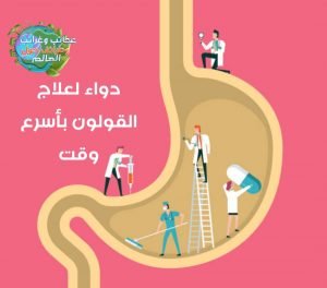 ما هي الآثار الجانبية الرئيسية للهيوسين ؟,ماهو افضل دواء للقولون من صيدلية؟,أفضل دواء لعلاج المعدة , علاج ألم المعدة ورغبة في التقيؤ , أعراض القرحة النفسية , علاج آلام المعدة في المنزل , كيف أتخلص من ألم المعدة , متى تختفي أعراض جرثومة المعدة النفسية , علاج مرض بومزوي بالاعشاب , أعراض انكماش المعدة , أفضل دواء لعلاج المعدة بالأعشاب , اعراض القرحة الهضمية , علاج التهاب المعدة بالأعشاب , كيف اتخلص من غازات البطن , اعراض انتفاخ المعدة , علامات جرثومة المعده , اعراض القرحة في المعدة , علاج قرحة المعدة في المنزل , قرحة المعدة علاج طبيعي , حل سريع للحموضة ,افضل دواء للقولون من الصيدلية افضل دواء لعلاج المعدة , شراب الحموضة جافيسكون , هل كثرة التجشؤ من أعراض السرطان , شراب جافيسكون لجرثومة المعدة , علاج الحرقان جافيسكون للحامل , دواء الحرقان جافيسكون , علاج التهاب القولون بالأعشاب مجرب , احسن دواء للمعدة , أعراض التهاب المعدة والامعاء , حبوب الغازات البطن , شراب المعدة جافيسكون , علاج البكتيريا في البطن , أفضل علاج للقولون العصبي من الصيدلية , اسم دواء مسكن للمعدة , أفضل علاج للقولون من الصيدلية , افضل دواء لعلاج المعدة , ادوية المعده , هيليكوباكتر بيلوري العلاج الطبيعي , الحمدلله شفيت من جرثومة المعدة , أسباب ألم البطن المفاجئ , أعراض التهاب المعدة والقولون , علاج ألم في البطن وإسهال وغازات , شفيت من ارتجاع المرئ , أعراض اضطرابات المعدة والقولون , كيف اخفف الم البطن , روشتة لعلاج جرثومة المعدة , أفضل علاج لارتجاع المريء والتهاب المعدة في الصيدليات , علاج تقلصات البطن الشديدة , علاج طبيعي لوجع البطن , كم تستغرق فترة علاج ارتجاع المرئ , علاج الحموضة في الحلق , دواء غازات البطن , أدوية لعلاج التهاب المعدة والقولون , علاج التهاب المعدة والقولون بالأعشاب , علاج حموضة الحلق , اعراض نقص حمض المعدة , ما سبب الم المعدة بعد الاكل , ما سبب الم راس المعدة , أسباب الحموضة في الحلق , أطعمة تساعد على علاج التهاب المعدة , أعراض قرحة المعدة والقولون , علاج التهاب المعدة الشديد , أدوية علاج التهاب جدار المعدة , التخلص من الحموضة فوراً , علاج التهاب المعدة نهائياً , مشروبات تساعد على علاج التهاب المعدة , حرقان من المعدة إلى الحلق , أسباب ألم المعدة والصدر , علاج نقص حمض المعدة , سبب الم المعدة بعد الاكل , علاج التهاب المعدة المزمن , اسباب الم المعده المفاجئ , اسباب الم المعده من فوق , سبب الم المعده والغثيان , اسباب الم اعلى المعدة , اعراض التهاب المعده والمريء , سبب الم المعده عند الاكل , علاج الحموضة والحرقان في الحلق , علاج التهاب المعدة للحامل , علاج الحرقان للحامل عالم حواء , علاج حرارة المعدة والقولون , اسباب الم المعده القوي , افضل علاج لحموضة المعدة للحامل , علاج المعدة بالعسل , أدوية جرثومة المعدة , اسباب الم فم المعدة , اسباب مغص البطن والاسهال , علاج التهاب راس المعدة , سبب الم المعدة المفاجئ , اسباب زيادة حموضة المعدة , أسباب ألم المعدة المستمر , سبب حرارة المعدة , سبب الم المعده من فوق , اعراض المعدة , اعراض المعده , علاج التهاب فم المعدة , علاج التهاب جدار المعدة , اسباب الم المعدة المستمر , سبب الم راس المعدة , حرقان فم المعدة , ماهو سبب الم المعدة , علاج التهاب المعده في البيت , ما هي اسباب الم المعدة , اعراض زيادة حموضة المعدة , سبب الم اعلى المعدة , افضل علاج للمعده والحموضه , اعراض حرقان المري , اسباب الحرقة في الحلق , التهاب المعدة , علاج مغص البطن واسهال الحموضة في الحلق , علاج لالتهاب المعدة , سبب الم المعدة المستمر , علاج الحموضة الشديدة والارتجاع , سبب الم فم المعدة , ماهو علاج التهاب المعده , علاج حرارة المعدة , كيف اتخلص من الحموضة , اسباب الحموضة الشديدة , اعراض نقص حموضة المعدة , سبب ألم المعدة , اسباب حموضة الحلق , علاج حراره المعده , اعراض قولون المعدة , اسباب حراره المعده , تخفيف الحموضه , أسباب ألم المعده , اعراض ثقب المعدة , افضل علاج للحموضة , زيادة حموضة المعدة , ما هو حمض المعدة , حموضة المعدة اعراضها لتخفيف الحموضة , اسباب الم في راس المعدة , اقوى علاج جرثومة المعدة , اعشاب لعلاج القولون , اسباب التجشؤ والم المعدة , اسباب حرقة البطن , افضل علاج للحموضه , اسباب زيادة حمض المعدة , ماهي اعراض الحموضه , اسباب الم البطن والاسهال , اسباب ارتفاع حموضة المعدة , علاج البطن , افضل علاج طبيعي لجرثومة المعده , افضل علاج للحموضة والحرقان , اقوى علاج للحموضه , علاج جرثومة المعدة مجرب , أعراض المعدة والقولون , علاج الم البطن والاسهال , اعراض المعدة والقولون العصبي , ما اسباب الم المعده , افضل دواء لحرقة المعدة , اسباب الم في المعدة , افضل دواء لالتهاب المعدة , افضل علاج التهاب المعدة , علاج جرثومة المعدة نهائيا بالعسل , علاج الاسهال ووجع البطن , احسن علاج لجرثومة المعدة , ما هو فتق المعدة , علاج جرثومة المعدة بالأعشاب , عملية جرثومة المعده , علاج التهاب المعدة , اسباب الم المعدة , اعراض الحموضة , أفضل دواء للحموضة , علاج الحرقة في الحلق , علاج انتفاخ البطن والقولون , التهاب المعده اعراضه , سبب الم المعده , اسباب الام المعده , افضل علاج لالتهاب المعده , ما سبب الم المعدة , حموضه بالحلق , ماهي الحموضه , اعراض حرقه المعده , الم المعده اسبابه , علاج الاسهال والم البطن , وش علاج الحرقان , اسباب حرارة المعدة , سبب حرقان البطن , حرقة راس المعدة , الام المعده اسبابها , التهاب المعده اسبابه , علاج القولون الهضمي بالاعشاب , علاج الحرقان في الصدر , اسباب الحرقان في المعده , افضل علاج للجرثومه , علاج طبيعي لجرثومة المعدة , علاج لجرثومة المعدة , التخلص من جرثومة المعدة نهائيا , علاج فعال وسريع لجرثومة المعدة , علاج جرثومة المعدة نهائيا , علاج جرثومة المعده نهائيا , دكتور متخصص في علاج جرثومة المعدة , علاج نهائي لجرثومة المعدة , علاج جرثومه المعده , اسباب الام المعدة , اسباب الحموضة المستمرة , سبب الحموضة , حرقان في المعده ماهي , حموضة المعدة , القضاء على جرثومة المعدة , أقوى علاج لجرثومة المعدة , افضل علاج لجرثومه المعده , افضل علاج لجرثومة المعده , دواء جرثومة المعدة , علاج المعدة بالاعشاب , افضل علاج لحموضة المعدة , علاج التهاب المعدة عند الاطفال , افضل علاج حموضة المعدة , حل جرثومة المعده , علاج التهاب المعدة والامعاء , افضل علاج لجرثومة المعدة , ماهي اعراض جرثومة المعدة وعلاجها , حرقان المعده , كيف اتخلص من انتفاخ البطن , افضل علاج جرثومة المعدة , أفضل دواء للحموضة والارتجاع , ما سبب الحموضة , معالجة جرثومة المعدة , أعشاب لعلاج القولون نهائيا , أفضل علاج للقولون من الصيدلية , علاج مرض القولون العصبي في 10 دقائق , مسكن سريع للقولون , أفضل دواء للقولون العصبي 2021 , علاج نهائي للقولون مجرب , علاج التهاب القولون التقرحي بالأعشاب مجرب , علاج القولون العصبي نهائيا بالأعشاب , أفضل دواء للقولون والغازات , أفضل علاج للقولون من الأعشاب , مسكن سريع للقولون , أفضل دواء للقولون العصبي 2021 , أفضل عصير مهدئ للقولون , دواء Vertex لعلاج القولون , علاج القولون العصبي نهائياً بطريقة طبيعية دون أي أدوية , أفضل علاج للقولون من الصيدلية بالمغرب , أفضل علاج للقولون من الصيدلية , أفضل علاج للقولون العصبي مجرب , أفضل علاج للقولون من الصيدلية بالسعودية , أفضل علاج للقولون من الصيدلية في الجزائر , أفضل دواء للقولون والغازات , أفضل علاج للقولون من الصيدلية في تونس , دواء Vertex لعلاج القولون , أفضل دواء للقولون العصبي 2022 , ,علاج الحموضة,الحموضة,حموضة المعدة,علاج الحموضة والحرقان,علاج حموضة المعدة,علاج الحموضة للحامل,حموضة,علاج الحموضة عند الحامل,الحموضة عند الحامل,علاج حموضة المعدة للحامل,علاج الحموضة بالاعشاب,علاج الحموضة بدون ادوية,اعراض الحموضة,اسباب الحموضة,الحموضة في المعدة,اسباب حموضة المعدة,حموضة المعدة وعلاجها,علاج الحموضة في المعدة,علاج الحموضة والغازات,الحموضه,فوار الحموضة,حموضة وحرقة المعدة,اعراض حموضة المعدة,أسباب الحموضة,حموضة الحلق,معالجة الحموضة,علاج الحموضة,علاج حموضة المعدة,علاج الحموضة والحرقان,الحموضة,علاج الحموضة للحامل,علاج حرقة المعدة,علاج الحموضة عند الحامل,علاج الحموضة بالاعشاب,حموضة المعدة,علاج حموضة المعدة للحامل,علاج الحموضة بدون ادوية,علاج,علاج الحموضة والغازات,علاج الحموضة في المعدة,علاج الحموضه عند الحامل,علاج الحموضة للحامل في الشهر الثامن,علاج الحموضة للحامل في الشهر السادس,علاج الحموضة للحامل في الشهر التاسع,حموضة,علاج قرحة المعدة,علاج حموضة المعدة بالاعشاب,العدوى البكتيرية,العدوى,العدوى البكتيرية والفيروسية,البكتيرية,العدوى الفيروسية,الأمراض البكتيرية,عدوى بكتيرية,البكتيريا العقدية,البكتيريا العنقودية,البكتيريا,علاج العدوى الفيروسية,العدوى الانتهازية,البكتيريا المهبلية,أعراض البكتيريا العقدية,بكتيرية,ما هي البكتيريا العنقودية,علاج البكتيريا العنقودية,البكتيريا الانتهازية,خطر البكتيريا,البكتيريا العقدية المقيحة,البكتيريا العقدية في المهبل,العدوى الفيروسية فى الأطفال,البكتيريا العنقودية في الحلق,التسمم الغذائي,علاج التسمم الغذائي,أعراض التسمم الغذائي,اعراض التسمم الغذائي,التسمم,أسباب التسمم الغذائي,اسباب التسمم الغذائي,طرق علاج التسمم الغذائي,طرق الوقاية من التسمم الغذائي,التسمم الغذائي اعراضه وعلاجه,بكتيريا تصيب بالتسمم الغذائي,التسمم الغذائي تعريف وقاية وعلاج,ما هو التسمم الغذائي,بداية التسمم الغذائي,التسمم الغذائي الحاد,التسمم الغذائي علاجه,التسمم الغذائي اعراضه,التسمم الغذائي البسيط,التسمم الغذائي بالصور,كيف يحدث التسمم الغذائي,القيء,علاج القيء,القيء عند الاطفال,القيئ,القيء يفطر,القيء يوميا,اسباب القيء,تفسير القيء,أسباب القيء,القيء في رمضان,القيء بالمنام,القيء والدوخه,الشعور بالقيء,تفسير القيء والاستفراغ في المنام,القيء والاسهال.,المسئول عن القيء,ما هو القيئ,التقيء القولون,الغثيان والقيء,القيء يبطل الصلاة,القيء يخرج البلغم,القيء اثناء الحمل,القيئ البني,رأيت القيء في المنام,أسباب القيء المستمر,القيئ الاصفر,القيئ الدموي,منظومة القيئ,التقيؤ,علاج الشعور بالقيء,الغثيان,علاج الغثيان,اسباب الغثيان,غثيان الحمل,غثيان,علاج الغثيان عند الحامل,الغثيان الصباحي,الشعور بالغثيان,علاج الغثيان والقيء عند الحامل,علاج غثيان الحمل,الغثيان والقيء,الغثيان المستمر,الغثيان في الحمل,الغثيان عند الحامل,علاج الغثيان والقيء,غثيان الصباح,#الغثيان,أسباب الشعور بالغثيان,غثيان مستمر,غثيان الحمل وعلاجه,ما سبب الغثيان,أعراض الغثيان,مشكلة الغثيان,القئ و الغثيان,علاج الغثيان و,كيف اعالج الغثيان,كيف أعالج الغثيان,الإسهال,الاسهال,علاج الاسهال,اسباب الاسهال,علاج الإسهال,اسهال,ما هو الإسهال,الإسهال وعلاجه,الإسهال المزمن,إسهال,الاسهال عند الرضع,الاسهال الحاد,الاسهال عند الاطفال,الاسهال المزمن,علاج الاسهال بالاعشاب,الاسهال المتكرر,الإسهال الابيض,الاسهال عند الكبار,لعلاج الاسهال,اعراض الاسهال,الإسهال عند الرضع,كيف تعالج الإسهال,علاج الإسهال للحامل,علاج الإسهال الشديد,علاج الإسهال طبيعيا,علاج الاسهال المزمن,سبب الاسهال,دواء الاسهال,الاسهال ينحف,الامساك,علاج الامساك,الامساك المزمن,الإمساك,علاج الامساك المزمن,اسباب الامساك,علاج الامساك الشديد,علاج الامساك عند الاطفال,امساك,علاج الامساك بالاعشاب,علاج الإمساك,لعلاج الامساك,الامساك عند الاطفال,الامساك وعلاجه,الامساك عند الرضع,علاج الامساك عند الكبار,علاج الامساك عند الرضع,علاج الامساك عند الاطفال الرضع,التخلص من الامساك,إمساك,التخلص من الإمساك,مشروبات لعلاج الامساك,الامساك الشديد,علاج الإمساك المزمن,الامساك والقولون,امساك شديد,ديكلوفيناك الصوديوم,ديكلوفيناك البوتاسيوم,انواع الديكلوفيناك,الفرق بين ديكلوفيناك الصوديوم وديكلوفيناك البوتاسيوم,مسكينات,فيروس كورونا,نقص الفيتامينات والمعادن,ديكسا,فيروس,علاج فيروس كورونا,حالات كورونا في مصر,كيتولاك ام فولتارين,فيتامين,صحافة فيديو,مسكنات الالم,كيتولاك للدوره,كيتولاك للصداع,الديكساميثازون,بديل حقن كيتولاك,حقنة كيتولاك للبرد,حبوب كيتولاك للحامل,اشهر مركبات الصوديوم,حقن كيتولاك للبواسير,حقنة الديكسا مع المضاد,التهاب القولون,التهاب القولون التقرحي,القولون,إلتهاب القولون التقرحي,القولون التقرحي,التهاب القولون التقرحي هل هو خطير,علاج التهاب القولون التقرحي,اعراض التهاب القولون التقرحي,التقرحي,علاج التهاب القولون التقرحي بالأعشاب,علاج القولون التقرحي,التهاب,القولون العصبي,قولون تقرحي,علاج التهاب القولون,عملية التهاب القولون التقرحي,التهاب القولون التقرحى,علاج إلتهاب القولون التقرحي,التهاب القولون التقدحي,علاج القولون,التهاب القولون التقرحي عند الاطفال,القولون العصبي,متلازمة القولون العصبي,علاج القولون العصبي,متلازمة القولون,القولون,علاج القولون,اعراض القولون العصبي,اعراض القولون,اسباب القولون العصبي,متلازمة القولون العصبى,متلازمة القولون المتهيج,علاج القولون الهضمي,القولون الهضمي,اعراض القولون العصبي النفسي,علاج متلازمة القولون العصبى,اعراض القولون الهضمي,القولون العصبي اعراضه,الدليل الشامل في متلازمة القولون العصبي,قولون,القولون المتهيج,الأعراض وطرق العلاج متلازمة القولون العصبي,التهاب المعدة,التهاب المعدة المزمن,المعدة,التهاب المعدة والقولون,قرحة المعدة,التهاب المعدة الحاد,علاج التهاب المعدة,اعراض التهاب المعدة,التهاب المعدة وعلاجها,التهاب المعدة والامعاء,اعراض قرحة المعدة,علاج التهاب المعده,التهاب بوابة المعدة,جرثومة المعدة,اعراض التهاب بوابة المعدة,حمية التهاب المعدة,التهاب فوهة المعدة,اعراض سرطان المعدة,التهاب فم المعدة,التهاب عنق المعدة,التهاب المعدة اعراضه,ما هو سبب التهاب المعدة,التهاب المعدة فكر تاني,نزيف المعدة,النزيف,المعدة,اعراض النزيف المعوي,النزيف المعوي,علاج النزيف المعوي,ما هو النزيف المعوي,نزيف المعدة،,نزيف معوي,نزيف الجهاز الهضمي,اسباب النزيف المعوي,نزيف,اعراض نزيف المعدة,اسباب نزيف المعدة,علاج النزيف,نزيف المعدة وعلاجها,نزيف المعوي,نزيف المعدة اسبابه وعلاجه,علاج نزيف المعدة بالاعشاب,اسباب نزيف المعدة الداخلي,قرحة المعدة,سرطان المعدة,نتوءات في المعده,مناظير المعدة,أنواع النزيف,أسباب النزيف,النزيف الشرجي,نزيف الدماغ , عدوى بكتيرية,عدوى بكتيرية خطيرة,البكتيرية,العدوى البكتيرية والفيروسية,بكتيرية,العدوى,بكتيريا,الأمراض البكتيرية,الاتهابات البكتيرية,العدوى الفيروسية,عدوى مارسا,علاج العدوى الفيروسية,العدوى الفيروسية فى الأطفال,البكتيريات,البكتريا,عدوي,اعراض التهاب الرحم البكتيري,اسباب التهاب المهبل البكتيري,اعراض التهاب البكتيري للمهبل,تقرير,علاج الالتهاب البكتيري للمهبل,اعراض الالتهاب البكتيري للمهبل,علاج الالتهاب المهبلي البكتيري,فوائد الثوم,الثوم,فوائد الثوم قبل النوم,قطعة من الثوم,فوائد الثوم للشعر,الثوم على الريق,بلع الثوم,فوائد الثوم على الريق,الثوم قبل النوم,الثوم الذكر,فوائد الثوم والليمون,فوائد الثوم للنساء,فوائد الثوم وزيت الزيتون,الثوم على معدة فارغة,فص من الثوم,فوائد الثوم الصحية,فوائد الثوم للجسم,الثوم للشعر,تناول الثوم,اكل الثوم,ما فوائد الثوم,زيت الثوم,فوائد,الزيت والثوم,الثوم للتخسيس,فوائد الثوم الذكر,الثوم النيئ,11 الفوائد الصحية المثبتة للثوم!,التهاب المعدة,اعراض التهاب المعدة,اعراض سرطان المعدة,علاج التهاب المعدة,اعراض قرحة المعدة,ما هي أعراض التهاب جدار المعدة,ما هي اعراض التهاب جدار المعدة,اعراض المعدة,المعدة,أعراض المعدة,اعراض جرثومة المعدة,اسباب التهاب المعدة,ما هي اعراض اورام المعدة,shoalakhbar ما هي أعراض التهاب فم المعدة باطني و قناة هضمية,التهاب المعدة والأمعاء,التهاب المعدة والقولون,اعراض التهاب فم المعدة,shoalakhbar ما هي أعراض التهاب جدار المعدة باطني و قناة هضمية,مضاد للالتهابات,مضاد حيوي للالتهابات,اقوى مضاد للالتهابات,مرهم مضاد للالتهابات,افضل مضاد للالتهابات,أفضل مضاد للالتهابات,مضاد للالتهابات طبيعي,مضاد للالتهابات ومسكن,مضاد حيوي للالتهابات البولية,مسكن ومضاد للالتهابات,مضاد للالتهابات والتورم,مضاد للالتهابات الاسنان,مضاد للالتهابات والروماتيزم,مضادات الالتهابات,كريم بيتاديرم مضاد للالتهابات,مضادة للإلتهابات,مضاد للالتهابات والتورم للاطفال,الالتهابات,مضاد حيوي,أقوى مضاد حيوي طبيعي يشفي كل الالتهابات,العقاقير المضادة للالتهاب غير الستيرويدية,مضادات الالتهاب غير الستيروئيدية,الفرق بين مضادات الالتهاب الستيروئيدية وغير الستيروئيدية,مضادات الالتهاب الستيرويدية,العقاقير المعدلة لمسار المرض الغير بيولوجية,مضادات الا لتهاب الستيرويدية الموجودة في الجزائر,مضادات الإلتهاب الستيرويدية,مضادات الالتهاب الستيروئيدية,مضادات الإلتهاب اللاستيرويدية,الالتهاب اللاستيرويدية,ضادات الإلتهاب الستيرويدية ais | @tabibidz,نصائح عند أخذ مضادات الالتهاب اللاستيرويدية,سيتالوبرام,سيتالوبرام واسيتالوبرام,سيتالوبرام 40,سيتالوبرام ٢٠,سيتالوبرام 10,سيتالوبرام 20,اسيتالوبرام,سيتالوبرام 20 مج,سيتالوبرام 10 مغ,علاج سيتالوبرام,سيتالوبرام اقراص,سيتالوبرام 10 ملغ,سيتالوبرام والحمل,سيتالوبرام والوزن,ديبرام سيتالوبرام,سيتالوبرام والرهاب,ما هو دواء سيتالوبرام؟,سيتالوبرام لعلاج الاكتئاب,سيتالوبرام لعلاج سرعة القذف,سيتالوبرام دواعي الاستعمال,هل سيتالوبرام مضاد للاكتئاب؟,سيتالو,سيبرالكس,حبوب سيبراليكس,سيبراليكس,برامج,ديكلوفيناك الصوديوم والحمل,الفرق بين ديكلوفيناك الصوديوم وديكلوفيناك البوتاسيوم,ديكلوفيناك صوديوم,الفرق بين ديكلوفيناك الصوديوم والبوتاسيوم,ديكلوفيناك البوتاسيوم,ديكلوفيناك,ديكلوفيناك الصوديوم,ديكلوفيناك الصويوم,ديكلوفيناك الصوديوم والكورونا,ديكلوفيناك الصوديوم والبوتاسيوم,ديكلوفيناك صوديوم جل,الديكلوفيناك صوديوم,انواع الديكلوفيناك,ديكلوفيناك صوديوم جيل,ديكلوفيناك البوتاسيوم والصوديوم,ديكلوفيناك صوديوم مرهم,الفرق بين ديكلوفيناك الصوديوم و البوتاسيوم,الجهاز العصبي اللاإرادي,أعراض الاتروبين,أضرار الاستيل كولين,السارين,الاتروبين,فارما,الاستيل كولين,علم أدوية,جفاف الفم,أحمد المحمدي,autonomic nervous system,ans,parasympathomimetic,pharasympatholytic,cholinergic agonist,anticholinergic,antagonist,pharmacology of ans,pharmacology of autonomic شرح,sarin,soman,physiostigmin,pilocarpine,nicotine,natural health,navel pain,pain,10 diseases that cause navel pain,cause navel pain,المعدة,جرثومة المعدة,التهاب المعدة,اعراض جرثومة المعدة,دواء حرقة المعدة,فم المعدة,قرحة المعدة,علاج قرحة المعدة,الدواء الخارق لعلاج المعدة والامعاء,علاج جرثومة المعدة,بكتيريا المعدة,جرثومة المعدة والقولون,أفضل دواء لعلاج مشاكل المعدة والحموضة aulcer,التهاب المعدة وعلاجها,افضل طرق لعلاج التهاب المعدة من المنزل بدون دواء,اعشاب لعلاج المعدة,علاج جرثومه المعده,علاج حرقة المعدة,علاج حموضة المعدة,دواء التهاب المعدة,اعشاب لعلاج قرحة المعدة , المعدة,التهاب المعدة,جرثومة المعدة,افضل طرق لعلاج التهاب المعدة من المنزل بدون دواء,اعراض جرثومة المعدة,دواء حرقة المعدة,علاج جرثومة المعدة,أفضل دواء لعلاج مشاكل المعدة والحموضة aulcer,قرحة المعدة,بكتيريا المعدة,جرثومة المعدة والقولون,التهاب المعدة وعلاجها,علاج المعدة,افضل علاج لجرثومة المعدة,فم المعدة,اعشاب لعلاج المعدة,دواء المعدة,علاج جرثومه المعده,افضل علاج للمعده وارتجاع المرئ,علاج حرقة المعدة,علاج قرحة المعدة,اعشاب لعلاج قرحة المعدة , القولون العصبي,القولون,علاج القولون,علاج القولون العصبي,اعراض القولون,اعراض القولون العصبي,افضل علاج للقولون,دواء القولون,افضل دواء للقولون العصبي,افضل علاج للقولون العصبي,علاج القولون الهضمي,أفضل علاج للقولون من الصيدلية,اعراض القولون الهضمي,القولون الهضمي,التهاب القولون,علاج القولون العصبي نهائيا,اعراض القولون العصبي النفسي,أفضل دواء للقولون والغازات,اعراض التهاب القولون,علاج القولون بالاعشاب,افضل حل للقولون,أفضل دواء للقولون العصبي 2021,قولون , أفضل علاج للقولون من الصيدلية,القولون العصبي,علاج القولون,القولون,علاج القولون العصبي,اعراض القولون العصبي,افضل علاج للقولون,اعراض القولون,افضل علاج للقولون العصبي,أفضل علاج للقولون من الصيدلية في المغرب,أفضل علاج للقولون من الصيدلية في الجزائر,أفضل علاج للقولون العصبي من الصيدلية,أفضل علاج للقولون الهضمي من الصيدلية,علاج القولون الهضمي,القولون الهضمي,علاج القولون العصبي نهائيا,اعراض القولون العصبي النفسي,اعراض القولون الهضمي