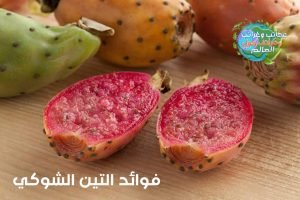 تين شوكي , فاكهة التين الشوكي  , تين شوكى  , فوائد زيت التين الشوكي للجنس  , التين الهندي  , التين الشوكي  , عسل التين الشوكي  , فوائد التين الشوكي  , ما فوائد التين الشوكي  , فوائد البرشومي  , كيفية تقشير التين الشوكي البرشومي  , فوائد التين الشوكي للجنس  , فوائد التين البرشومي  , السعرات الحرارية في التين الشوكي  , سعرات التين الشوكي  , خل التين الشوكي  , صبير التين الهندي  , فوائد التين الشوكي للحامل  , الصبار الشوكي  , كرموس الهندي  , الكرموس الهندي  , التين الشوكي للحامل  , فوائد خل التين الشوكي  , فوائد أوراق التين الشوكي للمفاصل  , اضرار التين الشوكي  , هل التين الشوكي يزيد الوزن  , فاكهة البرشومي  , فوائد التين الشوكي للتخسيس  , الهندي الشوكي  , فوائد التين الشوكي الأحمر  , فوائد تين شوكي  , التين الشوكي الاحمر  , هل التين الشوكي يرفع السكر  , القيمة الغذائية للتين الشوكي  , عصير التين الشوكي  , فوائد البرشومي للرجل  , فوائد التين الشوكي لمرضى السكر  , التين الشوكي والدايت  , فائدة التين الشوكي  , انواع التين الشوكي  , تين الصبار  , فوائد تين الصبار  , ما هي فوائد التين الشوكي  , فوائد البرشومي الشوكي  , التين الشوكي والسكري  , فوائد التين الشوكي للقولون  , فوائد واضرار التين الشوكي  , فوائد التين الشوكي للمعدة  , صور التين الشوكي  , فوائد زهرة التين الشوكي  , فوائد الهندي الشوكي البرشومي للحامل  , التين الشوكي  , فوائد التين الشوكي والرجيم  , طريقة تقشير التين الشوكي  , فوائد الصبار الشوكي  , هل التين الشوكي يسبب الاجهاض  , فوائد الكرموس الهندي  , كم سعرة حرارية في التين الشوكي  , رجيم التين الشوكي للتخسيس  , السعرات الحرارية للتين الشوكى  , فوائد عصير التين الشوكي  , كم سعر حراري في التين الشوكي  , عدد السعرات الحرارية في التين الشوكي  , الشوك الهندي  , فوائد صبار التين الشوكي  , تين شوكي احمر  , ماهو البرشومي  , زهرة التين الشوكي  , فوائد التين الهندي  , خل التين الشوكي للتخسيس  , منافع التين الشوكي  , فوائد اوراق التين الشوكي  , ما هو التين الشوكي  , فوائد ورق التين الشوكي  , فوائد اكل التين الشوكي  , شكل التين الشوكي  , فوائد أكل ورق التين الشوكي  , طريقة تقشير البرشومي  , التين الشوكي ويكيبيديا  , فوائد عسل التين الشوكي  , مربى التين الشوكي  , نسبة السكر في التين الشوكي البرشومي الاحمر  , اوراق التين الشوكي  , ما فائدة التين الشوكي  , فوائد التين البرشومي للرجيم  , فوائد زهرة التين الشوكي للتنحيف  , مكونات التين الشوكي  , فوائد شجرة التين الشوكي  , التين الشوكي والامساك  , السعرات الحرارية في البرشومي  , هل التين الشوكى بيتخن  , التين الشوكي لمرضى السكر  , فوائد التين الشوكي لمرضى السكري  , التين الشوكي للرجيم  , تين البرشومي  , فواءد التين الشوكى  , زيت التين الشوكي للحامل , التين الشوكي والامساك  , معلومات عن التين الشوكي , أضرار التين الشوكي لمرضى السكر, أضرار التين الشوكي للحامل,  أضرار التين الشوكي على الكلى  , أضرار التين الشوكي للقولون,فوائد التين الشوكي للجنس  , فوائد التين الشوكي للنساء  , فوائد التين الشوكي للمرأة  , فوائد التين الشوكي للبشره  , فوائد التين الشوكي للبشرةِ  , فوائد التين الشوكي للعضو الذكري  , فوائد التين الشوكي الأحمر  , فوائد التين الشوكي للمعدة,التين الشوكي,زيت بذور التين الشوكي,فوائد التين الشوكي,اضرار التين الشوكي,زيت التين الشوكي,بذور التين الشوكي,فوائد التين الشوكي الاحمر,فوائد التين الشوكي للبشرة,زراعة التين الشوكي من البذور,التين,كيفية زراعة التين الشوكي من البذور,الشوكي,صبار التين الشوكي,ثمار التين الشوكي,تقشير التين الشوكي,زراعة التين الشوكي,قناع التين الشوكي,فوائد اوراق التين الشوكي,أنواع التين الشوكي,التين الشوكي للشعر,التين الشوكي للوجه,وقت زراعة التين الشوكي,تقشير التين الشوكي,التين الشوكي,طريقة تقشير التين الشوكي,طريقة تقشير التين الشوكي دووون لمسه باحترافية,فوائد التين الشوكي,طريقة تقشير التين الشوكي بسهولهⓜ,طريقة تقشير التين الشوكى + فوائده cactus fruit,طريقة تقشير التين الشوكي بسهولة دون لمسه,كيفية تقشير التين الشوكي,كيفية تنظيف و تقشير التين الشوكي ( الهندية),انواع التين الشوكي,اسهل طريقة لتقشير التين الشوكى بدون معاناة مع الشوك + فوائده,طريقه تقشير التين الشوكي,تقشير التين الشوكى في البيت بكل سهولة,التين الشوكي,فوائد التين الشوكي,فوائد التين الشوكي الاحمر,فوائد التين الشوكي للبشرة,فوائد اوراق التين الشوكي,اضرار التين الشوكي,تقشير التين الشوكي,التين الشوكي للشعر,ما فوائد التين الشوكى,التين الشوكي يزيد الوزن,زيت التين الشوكي,ثمار التين الشوكي,التين الشوكي للوجه,التين الشوكى,أكلت التين الشوكي,التين الشوكي في مصر,التين,كبسولات التين الشوكي,انواع التين الشوكي,التين الشوكي للبشرة,التين الشوكي للحامل,التين الشوكي والرجيم,كيف تزرع التين الشوكي,اسباب تشقق ثمرة التين,زراعة التين من البذور,زراعة التين,ري شجرة التين في الصيف,تسريع نمو شجرة التين,التين اليابس,التين البرشومي,كيفية العناية بشجرة التين,فاكهة العنب,العناية بشجرة التين,زراعة التين من العقل,المناخ المناسب لزراعة التين,التين المجفف,التجزير الهوائي لشجرة التين,التين المجفف للامساك,تجفيف التين في,ري التين بالصيف,زراعة شجرة التين من العقل,وصفة التين والثوم,زراعة التين من العقل بسهولة,اكلت التين,السماد المستخدم لشجرة التين,البوتاسيوم,نقص البوتاسيوم,فوائد البوتاسيوم,اعراض نقص البوتاسيوم,فوائد البوتاسيوم للنبات,أعراض نقص البوتاسيوم,نقص البوتاسيوم في الجسم,ماهي فوائد البوتاسيوم,فوائد البوتاسيوم للجسم,فوائد البوتاسيوم للجنس,فوائد البوتاسيوم للشعر,فوائد عنصر البوتاسيوم,فوائد البوتاسيوم للحوامل,فوائد البوتاسيوم للاطفال,فوائد البوتاسيوم للتخسيس,فوائد البوتاسيوم للجسم بحث,فوائد البوتاسيوم واين يوجد,بوتاسيوم,اعراض نقص البوتاسيوم في الجسم,فوائد البوتاسيوم للجسم والشعر,فوائد المغنيسيوم,المغنيسيوم,نقص المغنيسيوم,فوائد المغنيسيوم للحامل,اعراض نقص المغنيسيوم,فوائد المغنيسيوم للجسم,فوائد المغنيسيوم في الجسم,المغنيسيوم وفوائده,فوائد المغنيسيوم للشعر,مغنيسيوم,المغنيسيوم والقلق,المغنيسيوم والاعصاب,المغنيسيوم وفوائده للجسم,المغنيسيوم والشعر,المغنيسيوم والوزن,أهمية المغنيسيوم,المغنيسيوم في الجسم,المغنيسيوم للعضلات,المغنيسيوم للتنحيف,علاج نقص المغنيسيوم,فوائد المغنيسيوم#,علامات نقص المغنيسيوم,فوائد المغنيسيوم للجسم#,فيتامين سي,فوائد فيتامين سي,فوائد فيتامين سي للبشرة,سيروم فيتامين سي,فيتامين سي فوار,حبوب فيتامين سي,فيتامين c,فيتامين سي للبشرة,فيتامين ج,فيتامين,مصادر فيتامين سي,فيتامين سي للمناعة,فائدة فيتامين س,اعراض نقص فيتامين سي,فوائد فيتامين c,فيتامين c فوائده,فيتامين c فوار,قناع فيتامين سي,فيتامين سي للوجه,فوائد فوار فيتامين سي,فوائد فيتامين سي للشعر,فوائد بلع فيتامين سي,فوائد فيتامين سي للبشره,فيتامين سي وفوائده,فوائد فيتامين سي للاطفال,التين الشوكي,فوائد التين الشوكي,اضرار التين الشوكي,فوائد التين الشوكي الاحمر,فوائد التين الشوكي للبشرة,فوائد اوراق التين الشوكي,زيت التين الشوكي,التين,ما فوائد التين الشوكى,التين الشوكي يزيد الوزن,التين الشوكى,فوائد التين,التين الشوكي للشعر,التين الشوكي في مصر,ثمار التين الشوكي,أكلت التين الشوكي,التين الشوكي للوجه,فائدة التين الشوكي,التين الشوكي الاحمر,التين الشوكي للبشرة,التين الشوكي والرجيم,اضرار التين الشوكي،,ما هي فوائد التين الشوكي,فوائد التين الشوكي,التين الشوكي,فوائد التين الشوكي الاحمر,فوائد التين,فوائد اوراق التين الشوكي,اضرار التين الشوكي,فوائد التين الشوكي للبشرة,فوائد التين الشوكي لمرضى السكر,فوائد التين الشوكي للرجال,فوائد التين الشوكي للجنس,فوائد التين الشوكي للشعر,فوائد التين الشوكي للحامل,فوائد التين الشوكي للنساء,فوائد التين الشوكي للقولون,ما فوائد التين الشوكى,زيت التين الشوكي,فوائد ورق التين للشعر,فوائد ورق التين للرحم,فواد التين الشوكي,فوائد التين الشوكي,التين الشوكي,فوائد التين الشوكي للبشرة,فوائد التين الشوكي الاحمر,فوائد التين الشوكي للشعر,فوائد اوراق التين الشوكي,فوائد التين,فوائد التين الشوكي للجنس,فوائد التين الشوكي للحامل,زيت التين الشوكي,ما فوائد التين الشوكى,اضرار التين الشوكي,فائدة التين الشوكي,فوائد التين الشوكي لمرضى السكر,ما هي فوائد التين الشوكي,ما فوائد التين,ماهي فوائد التين,فوائد ثمرة التين,فوائد التين الشوكي للوجه,فوائد التين الشوكي للرجال,فوائد التين الشوكي,التين الشوكي,فوائد التين الشوكي الاحمر,فوائد التين الشوكي للبشرة,فوائد التين الشوكي للجنس,فوائد التين الشوكي للشعر,فوائد اوراق التين الشوكي,فوائد التين الشوكي للنساء,اضرار التين الشوكي,فوائد التين الشوكي للرجال,فوائد التين,فوائد التين الشوكي للحامل,ما هي فوائد التين الشوكي,فائدة التين الشوكي,زيت التين الشوكي,فوائد زيت التين الشوكي,فوائد التين الشوكي لمرضى السكر,ما فوائد التين الشوكى,التين الشوكي للشعر,التين الشوكى,التين,فوائد التين الشوكي,فوائد التين الشوكي للجنس,فوائد التين الشوكي للبشرة,فوائد التين الشوكي الاحمر,التين الشوكي,فوائد التين الشوكي للحامل,فوائد التين الشوكي للشعر,فوائد اوراق التين الشوكي,فوائد التين,فوائد التين الشوكي للوجه,اضرار التين الشوكي,ما فوائد التين الشوكى,فوائد التين الشوكي للنساء,فوائد التين الشوكي للرجال,ماهي فوائد التين الشوكي,فوائد التين الشوكي واضراره,فوائد التين الشوكي لمرضى السكر,ما هي فوائد التين الشوكي,فوائد التين الشوكى للجنس,فوائد التين الشوكي,التين الشوكي,فوائد التين الشوكي الاحمر,فوائد التين الشوكي للبشرة,فوائد التين الشوكي للشعر,فوائد اوراق التين الشوكي,فوائد التين الشوكي للجنس,فوائد التين الشوكي للحامل,فوائد التين,ما فوائد التين الشوكى,فوائد التين الشوكي للنساء,فوائد التين الشوكي للرجال,اضرار التين الشوكي,فوائد التين الشوكي لمرضى السكر,التين,التين الشوكي يزيد الوزن,التين الشوكى,ما هي فوائد التين الشوكي,فوائد التين الشوكي للوجه,فوائد التين الشوكي للقلب , فوائد التين الشوكي,التين الشوكي,فوائد التين الشوكي الاحمر,فوائد التين الشوكي للبشرة,فوائد التين الشوكي للشعر,فوائد اوراق التين الشوكي,فوائد التين الشوكي للجنس,فوائد التين,فوائد التين الشوكي للحامل,ما فوائد التين الشوكى,فوائد التين الشوكي للنساء,فوائد التين الشوكي للرجال,اضرار التين الشوكي,فوائد التين الشوكي لمرضى السكر,التين,التين الشوكي يزيد الوزن,التين الشوكى,ما هي فوائد التين الشوكي,فوائد التين الشوكي للوجه,فوائد التين الشوكي للقلب