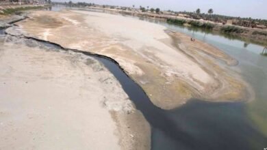 انحسار نهر الفرات عن جبل من الذهب 2023